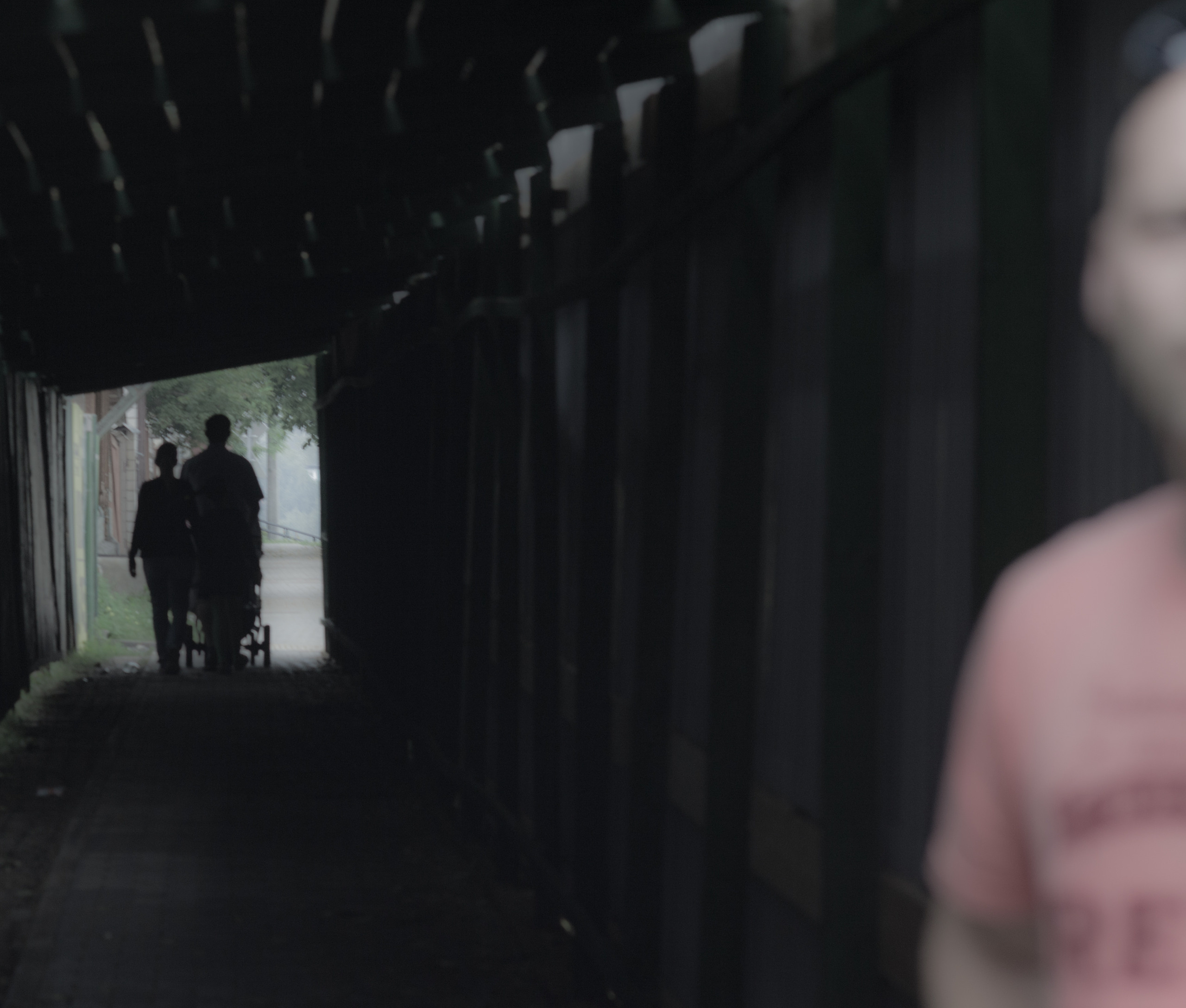 картина, фотокартина, картина в Гомеле, painting, canvas