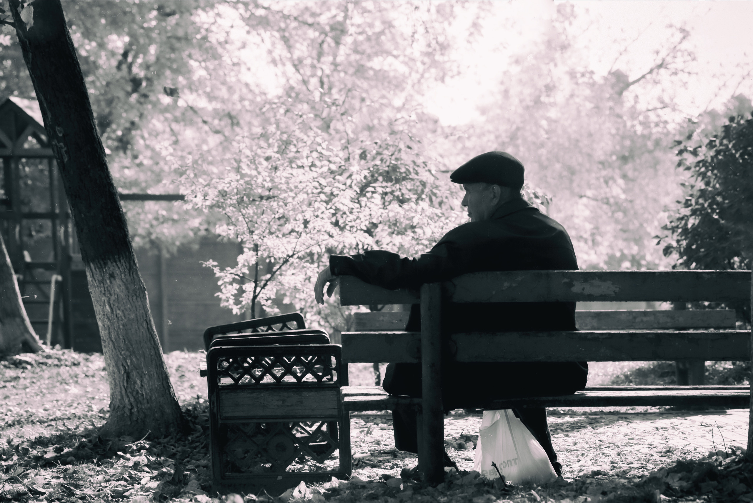 картина, фотокартина, картина в Гомеле, painting, canvas