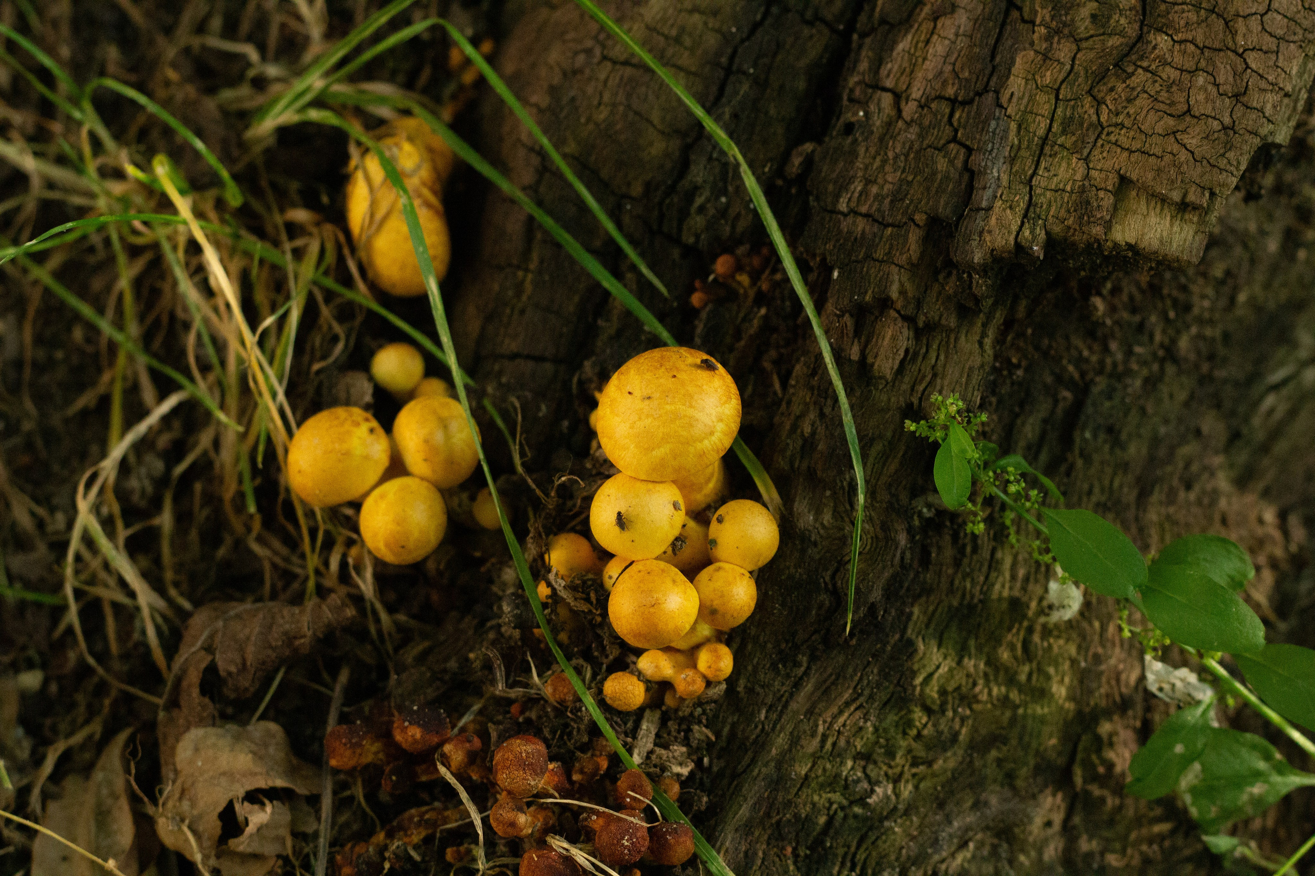 Природа. Фотограф Москва, портрет, стрит, репортаж. Художественная фотосессия