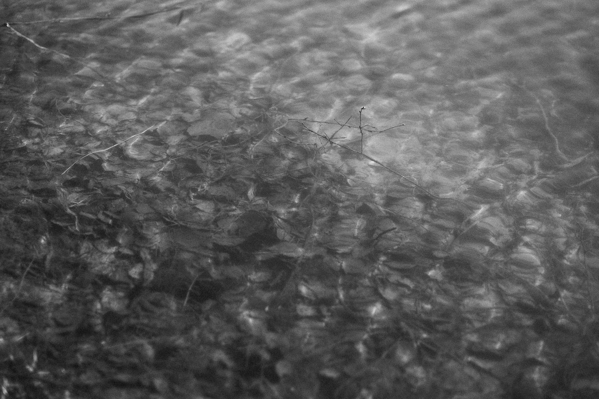 НЕСПОКОЙСТВИЕ. Фотограф Андрей Копий. Фотосъёмка в Нижнем Новгороде и Москве