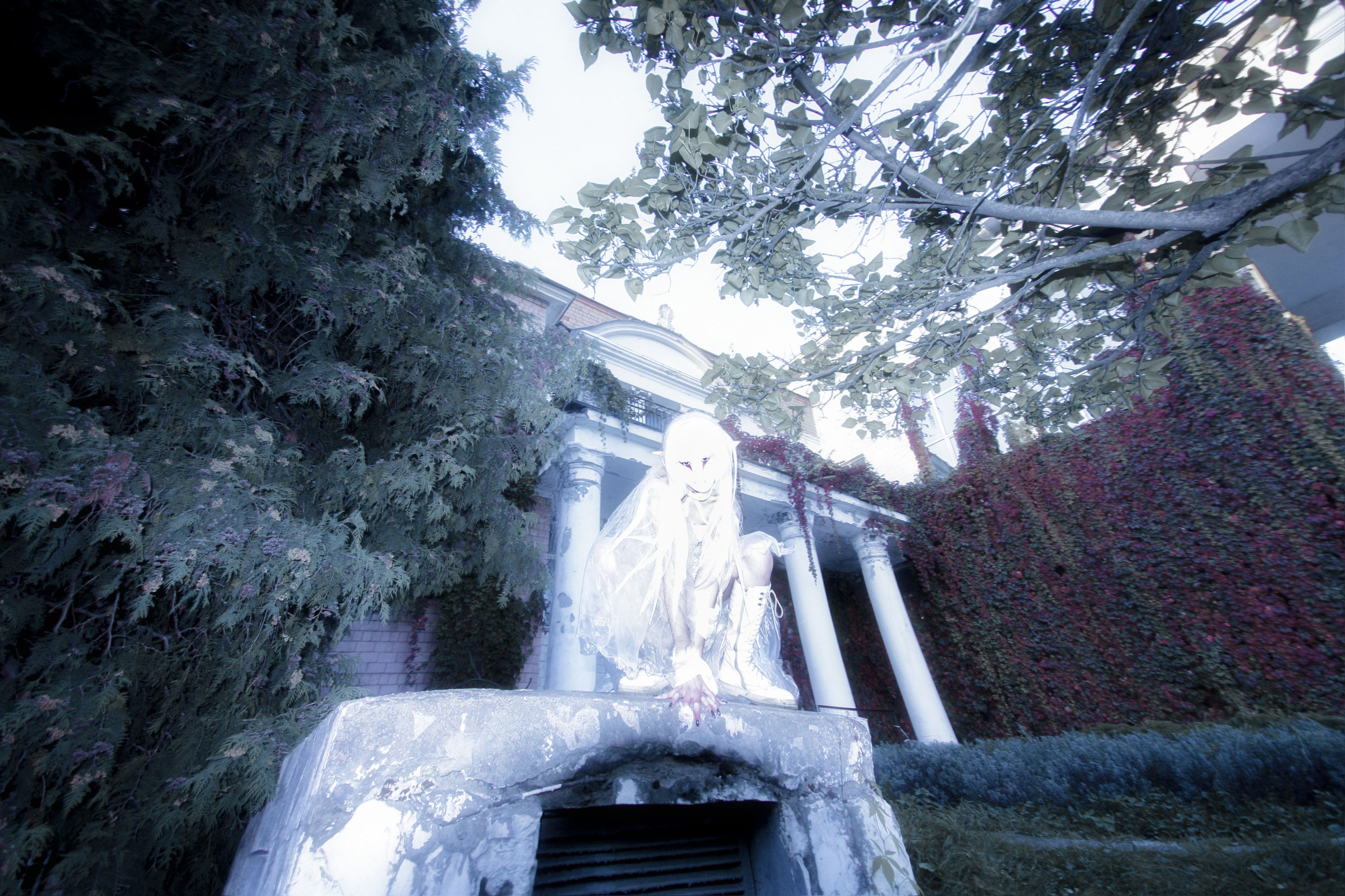 Annika. Анна Сергеенкова | фотограф Москва