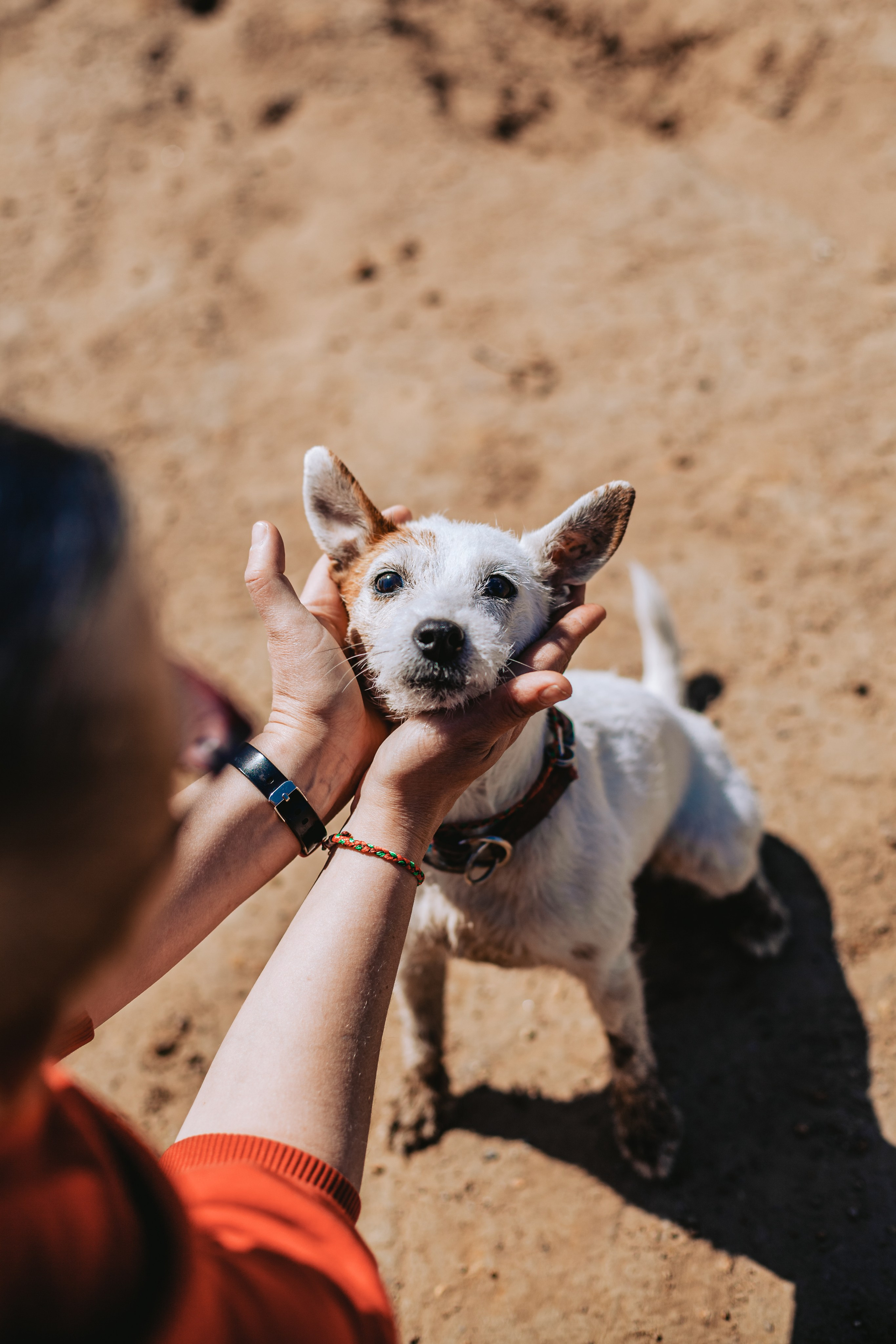 Кондуки. Фотограф-анималист Татьяна Степанова