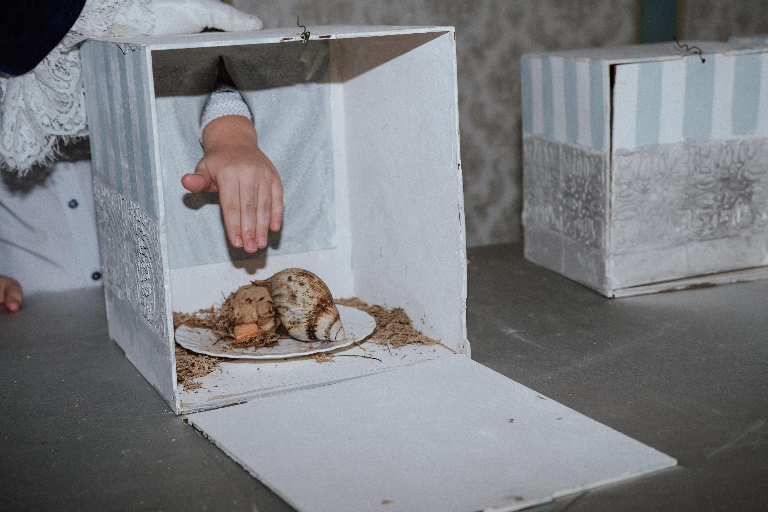 Фотограф на детский праздник. Фотограф Ким Наталья в Красноярске