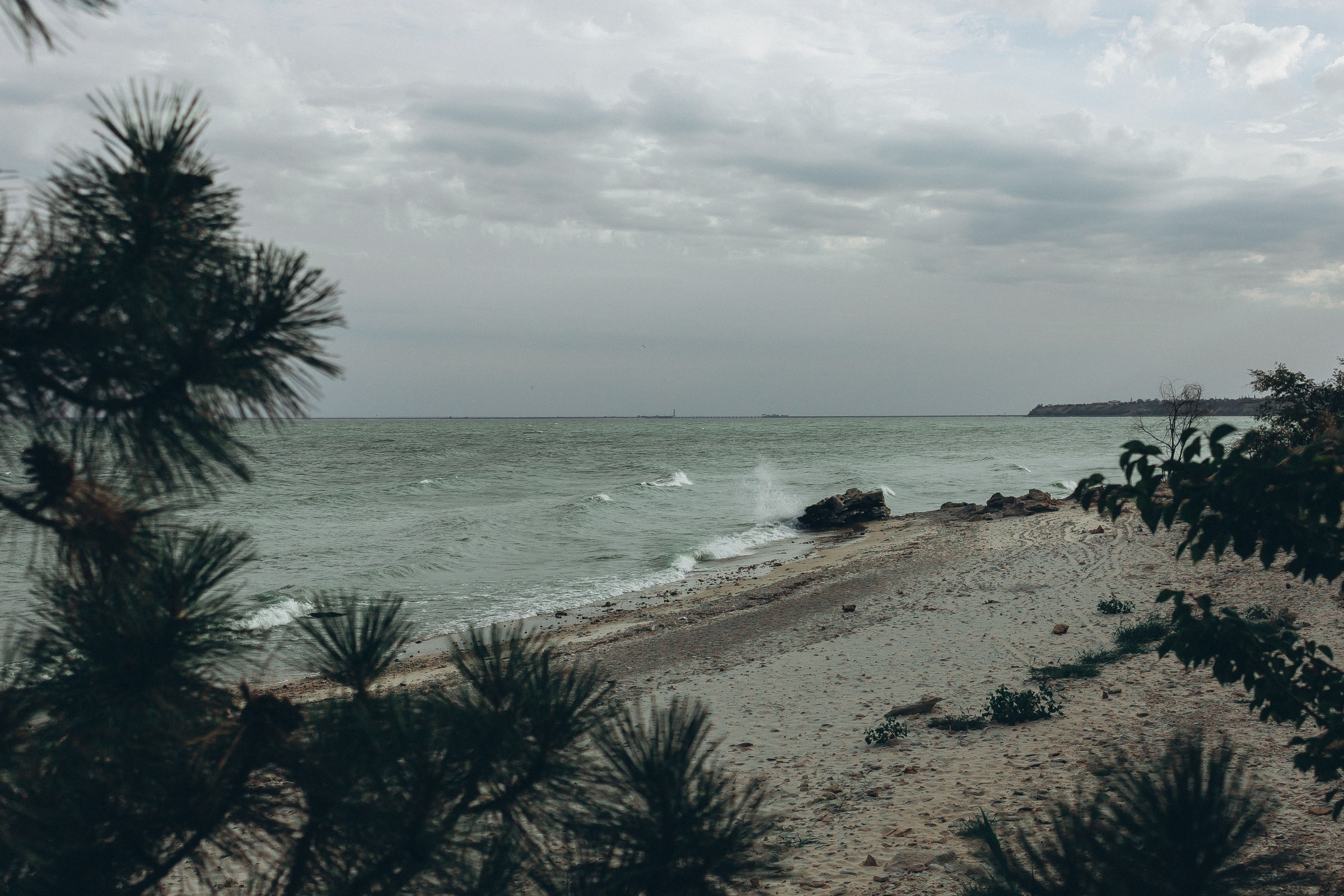 Антон и Даша в ожидании. Семейный фотограф в Волгодонске Краченцева Анна