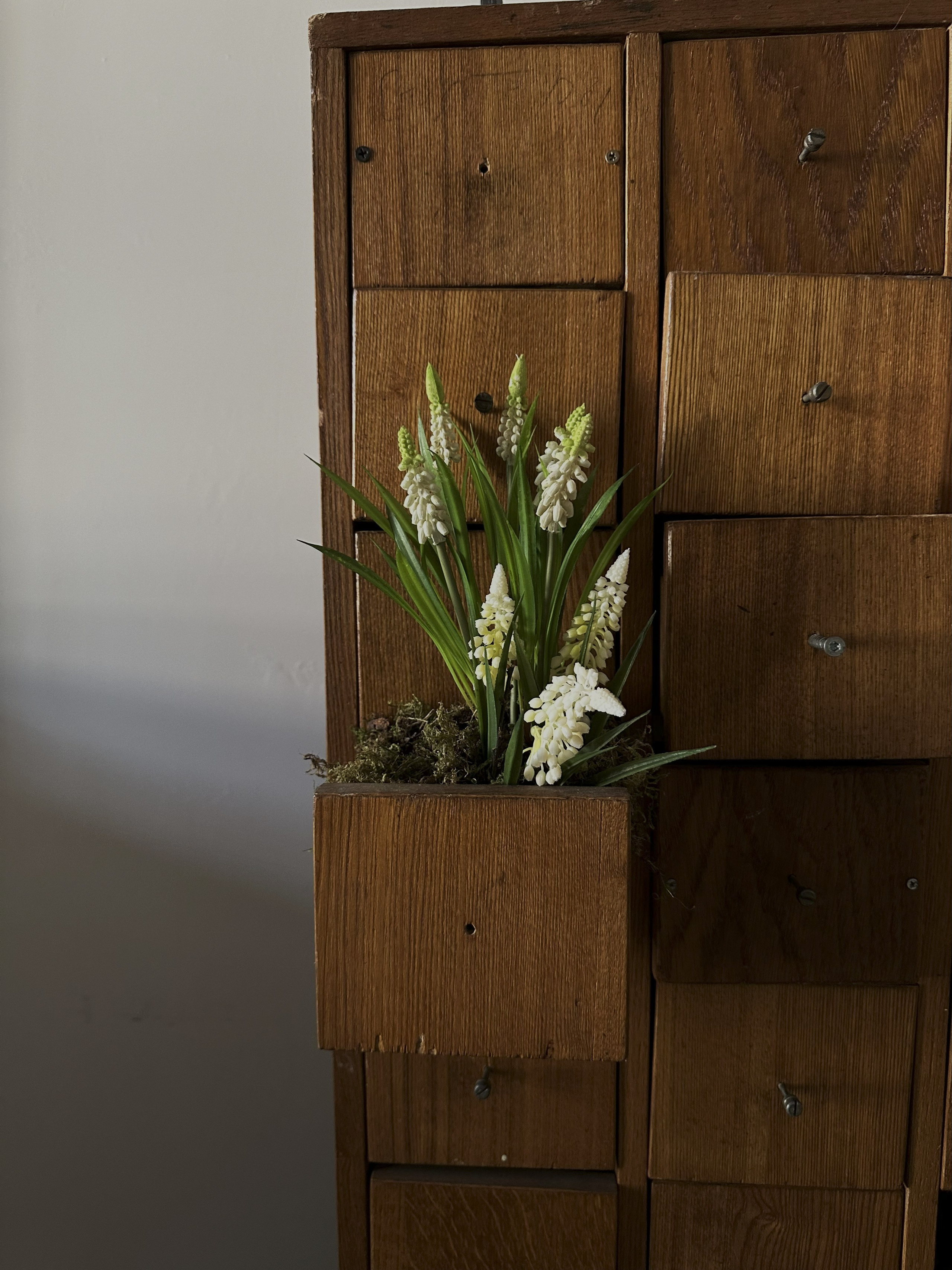 Алёна. Hmliber — фотограф и контент-креатор из Петербурга