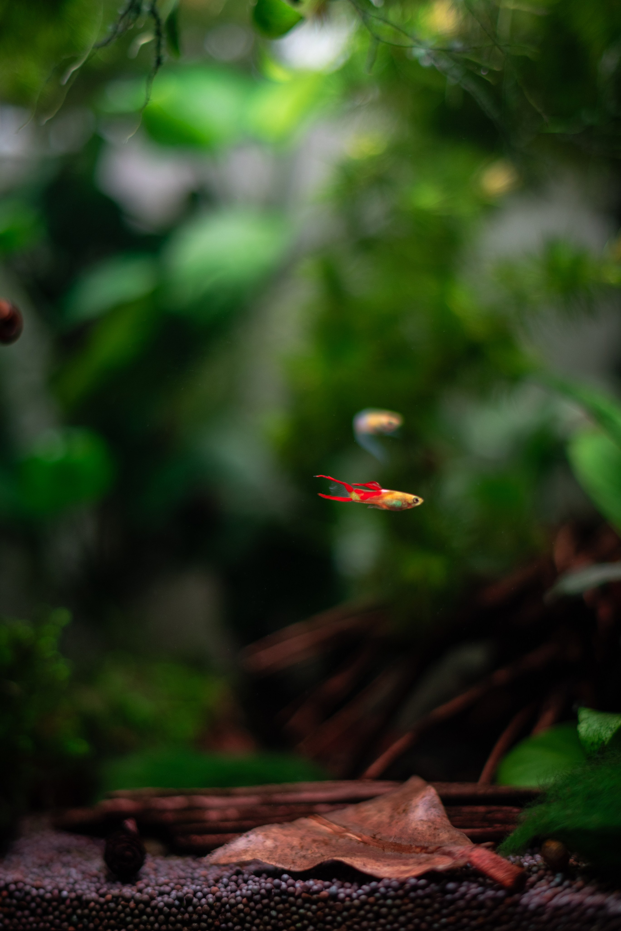 Фотографии фото фотки фотограф. •fpsmax• фотограф-ретушер