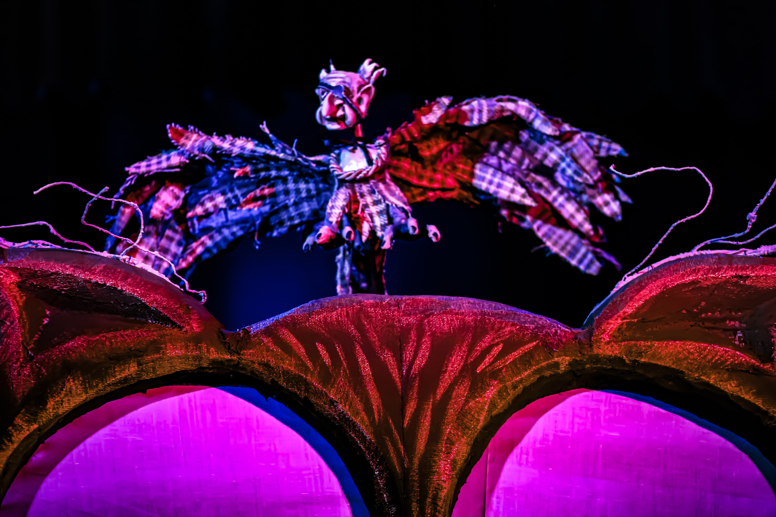 Щелкунчик и мышынный король. Фотограф в Сочи Юрий Шептаев