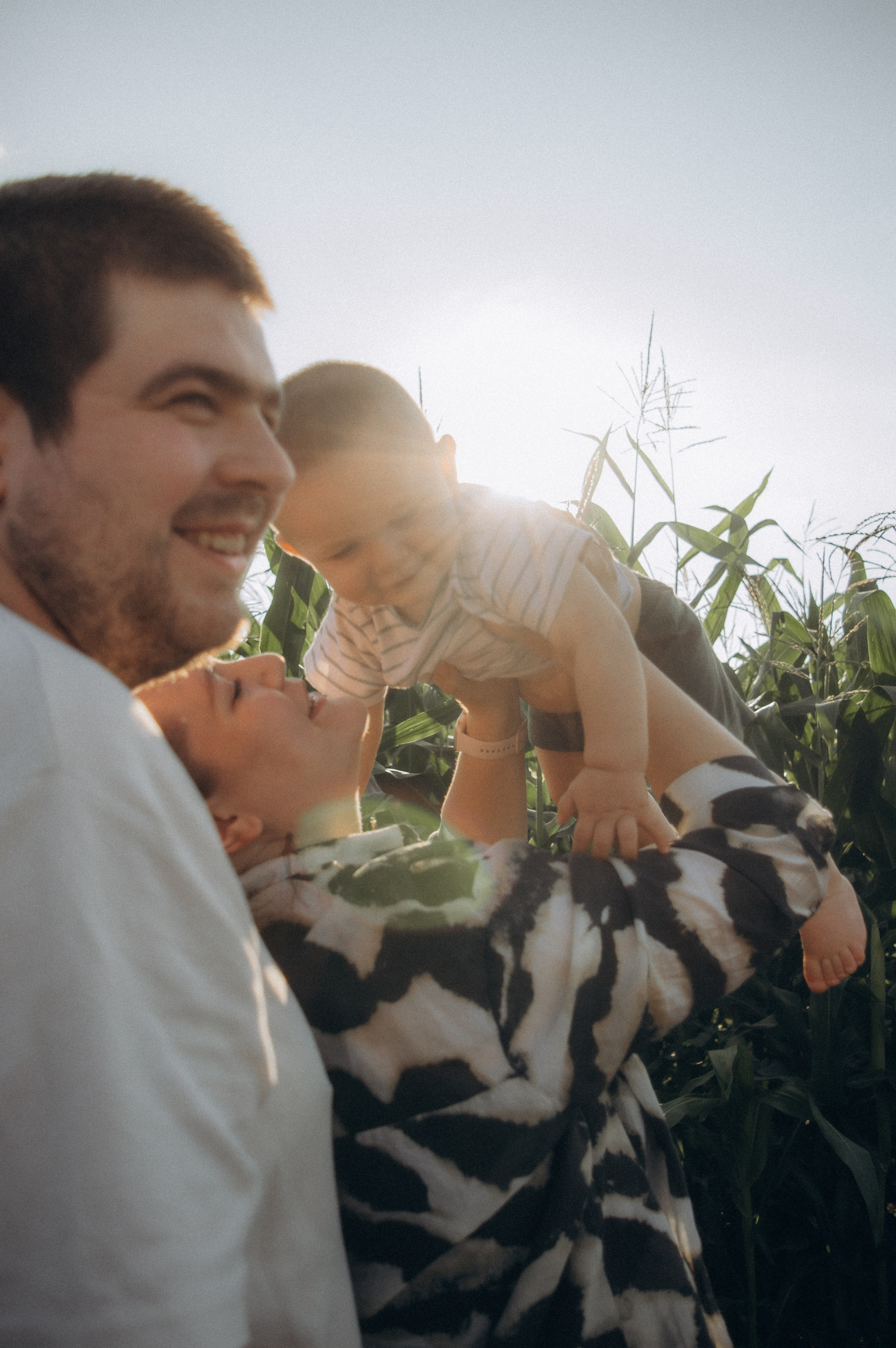 Лето, семья, кукуруза. Семейная летняя фотосессия. Юлия Левада Семейный и женский фотограф