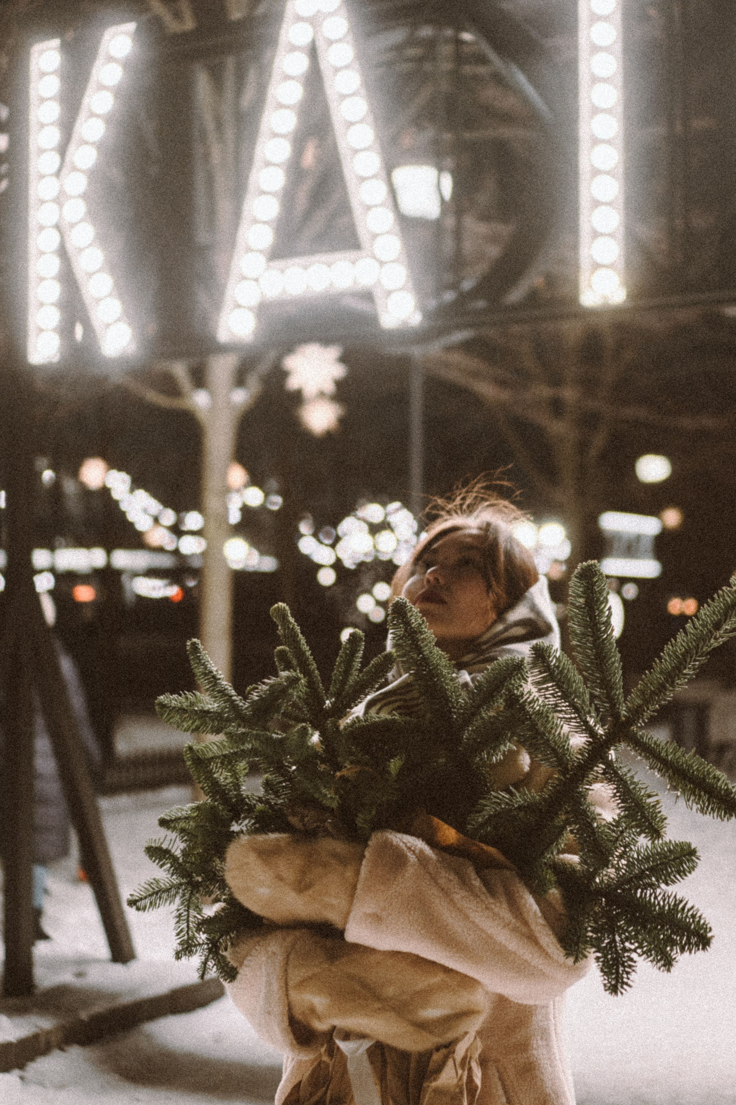 Зимняя сказка в Новой Голандии. Профессиональный фотограф, Санкт-Петербург — Виктория Богомолова