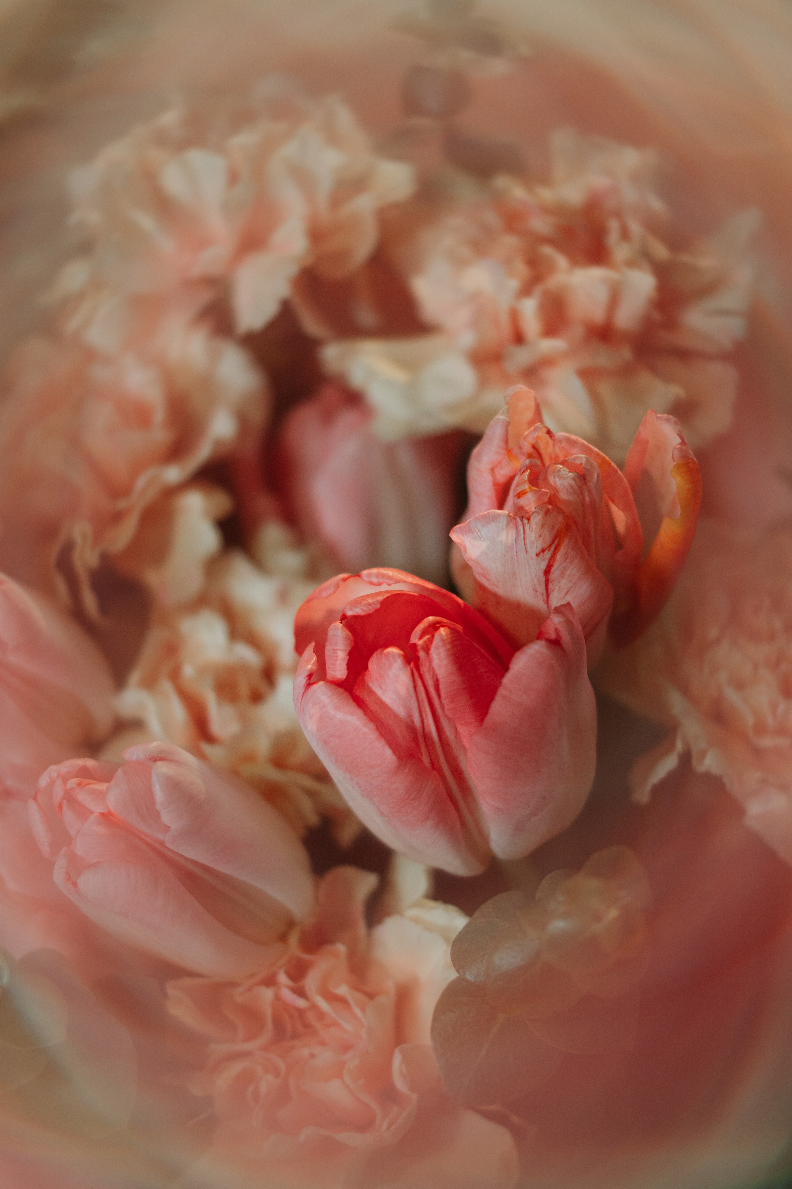 букет с тюльпанами открытка 8 марта