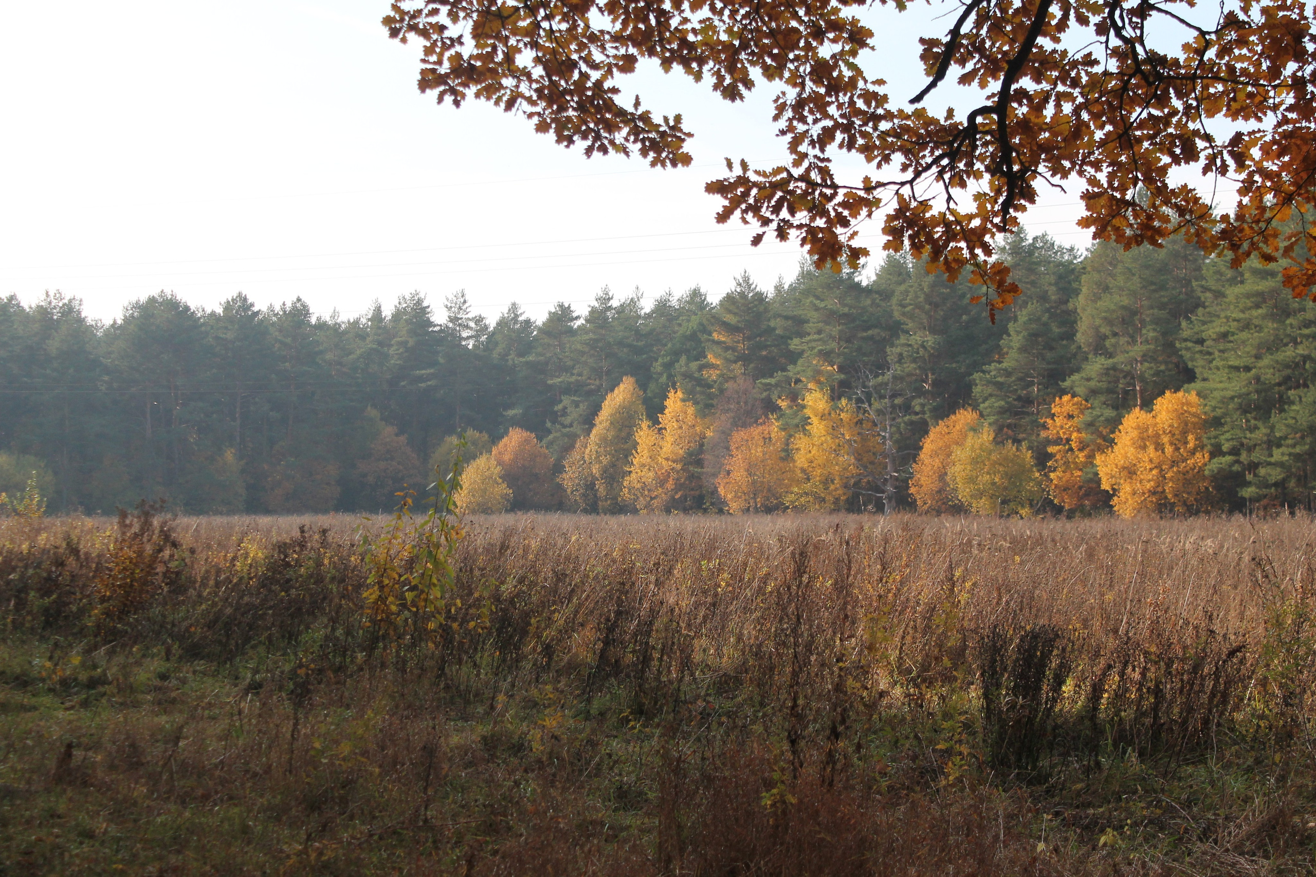 Мои первые работы. Фотограф из Москвы — DASHA NOVA | Авторская фотография в разных жанрах