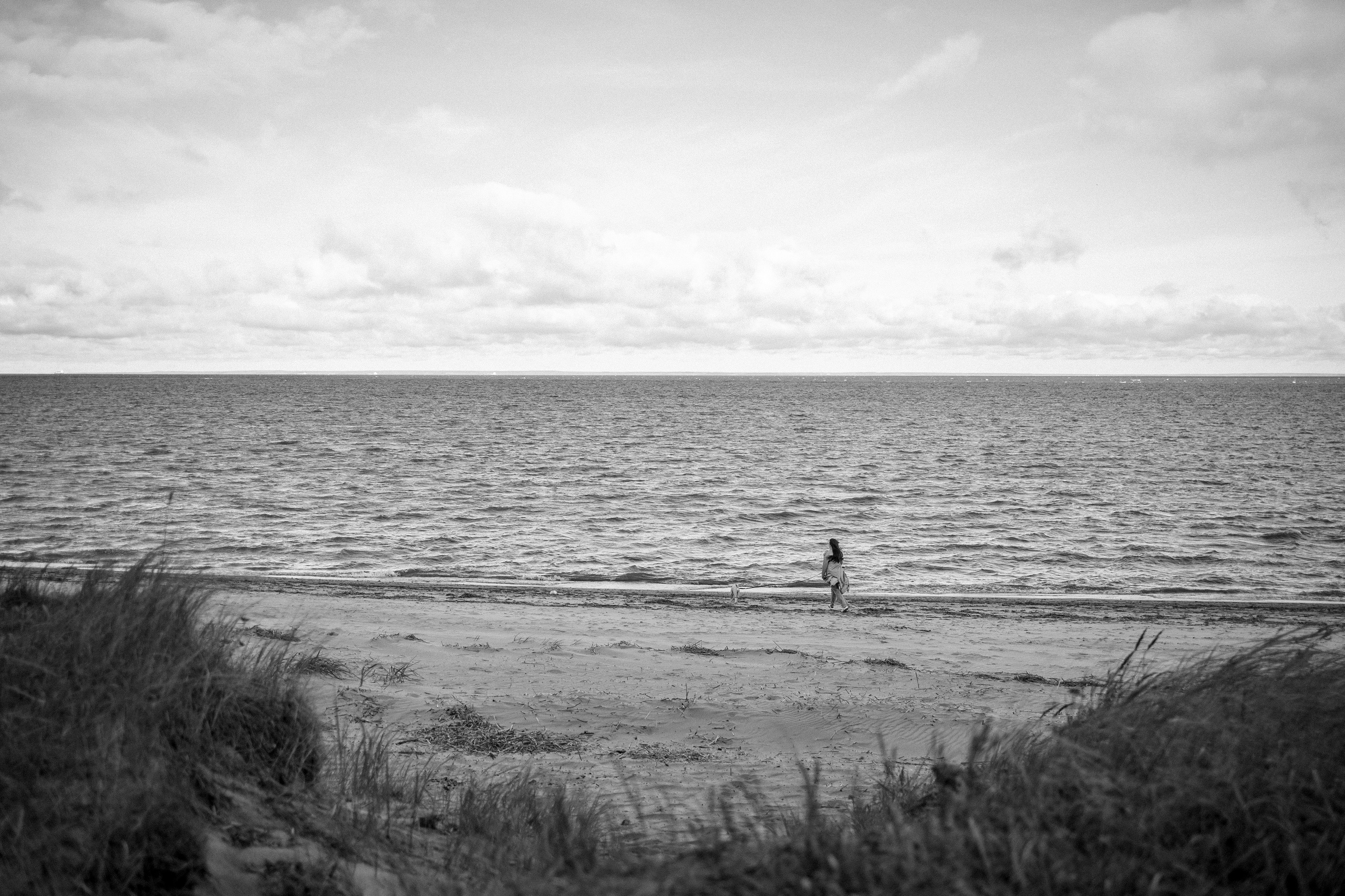 Алиса и Лео. Фотограф — Анималист | Санкт-Петербург