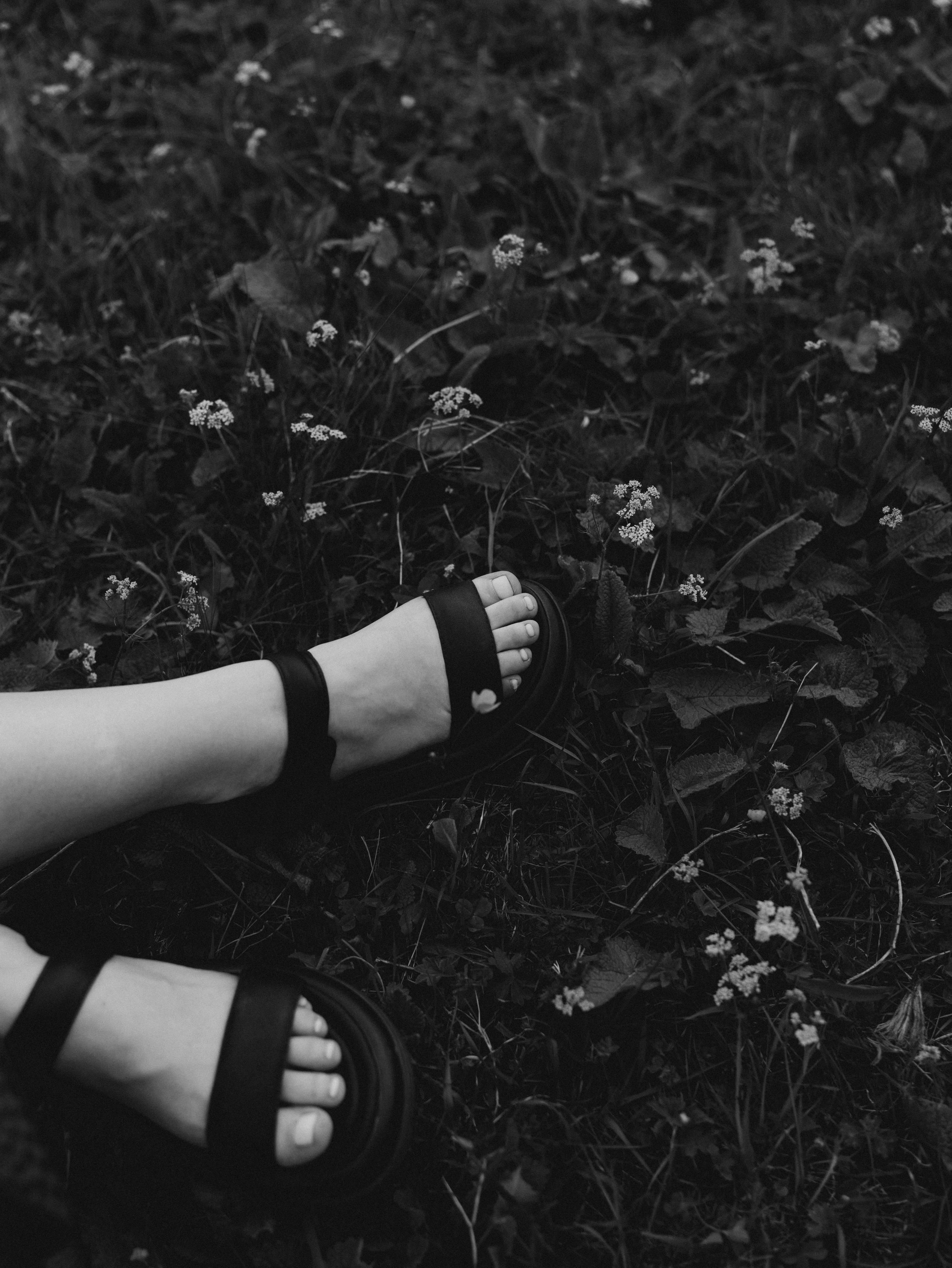 Съемка Love story (лавстори) Ксении и Михаила. Свадебный фотограф Ирина Беляева Пятигорск|Кисловодск|Эльбрус|Домбай