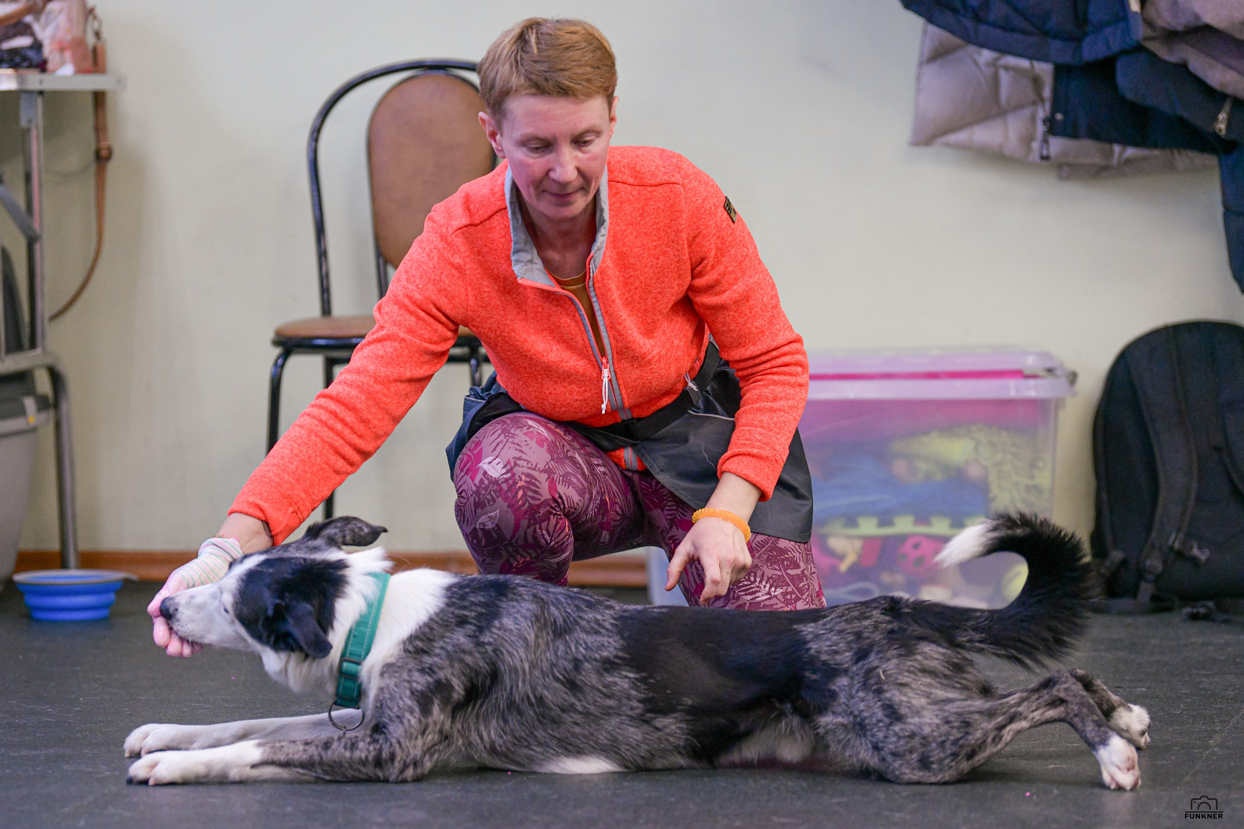 Кинологический клуб «Бодрый хвост». Свой взгляд через объектив