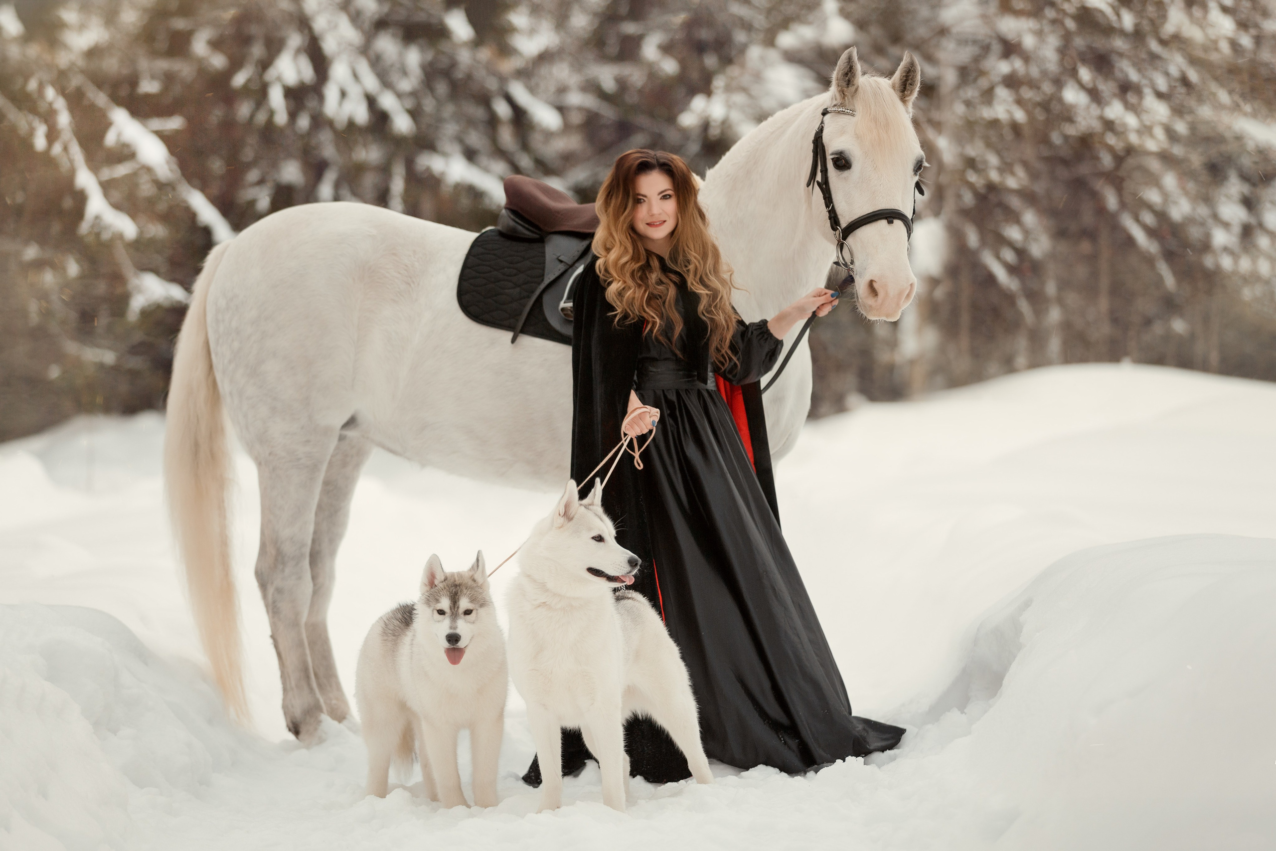 Фотосессии с лошадьми. Фотограф Артемьева Катерина|фотосессии с лошадьми