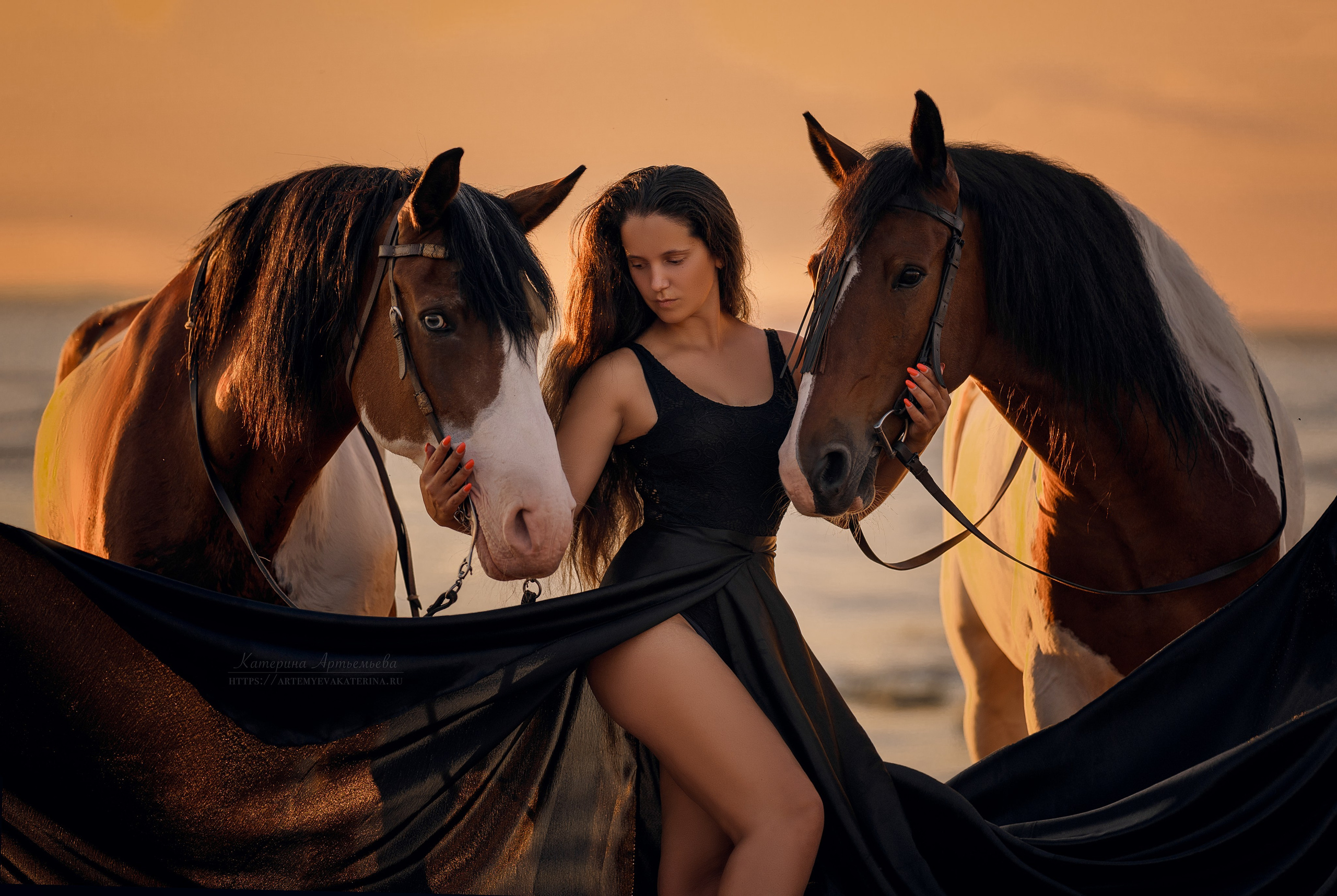 Фотосессии с лошадьми. Фотограф Артемьева Катерина|фотосессии с лошадьми