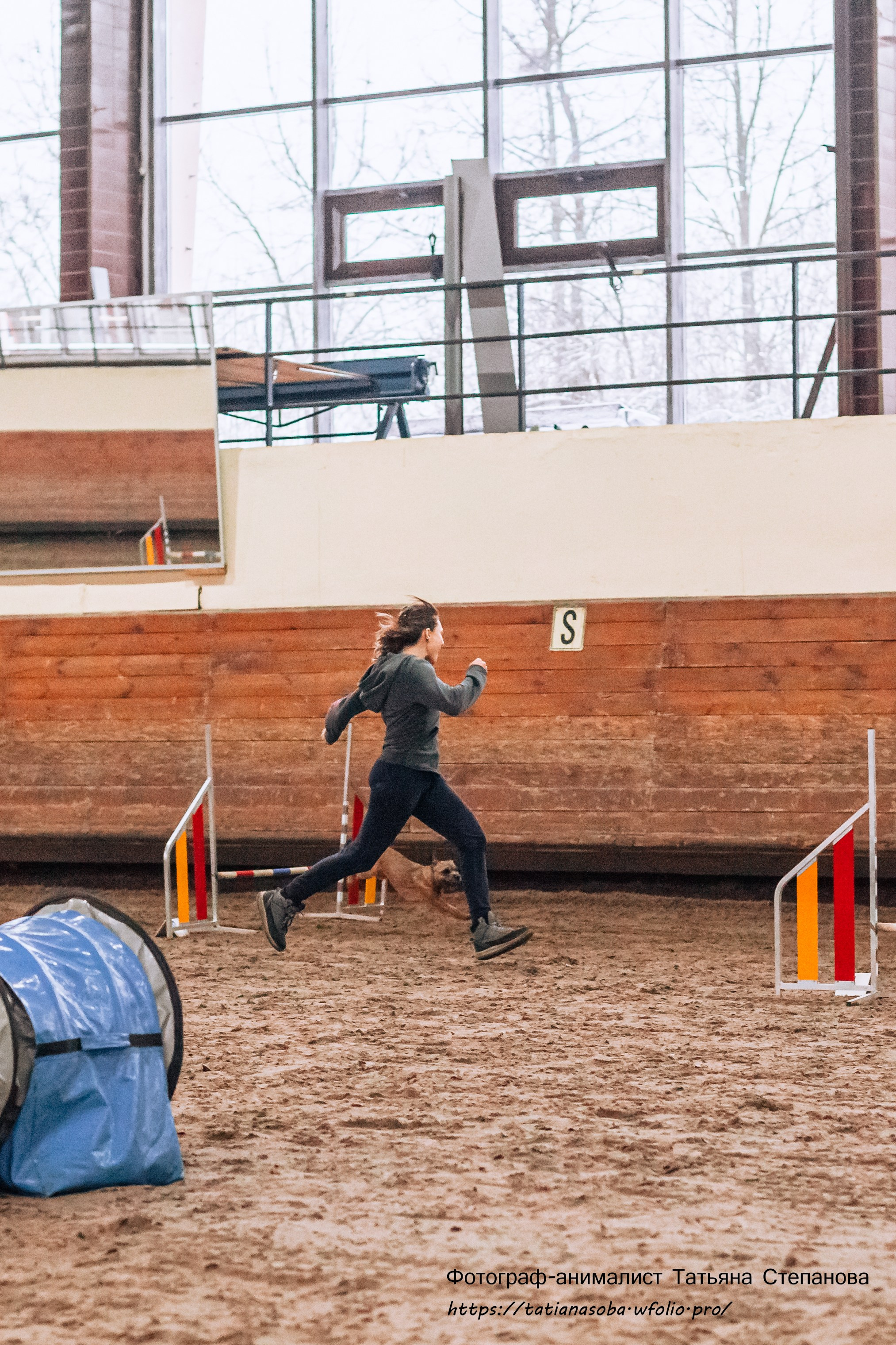 Соревнования по Аджилити 25.02.2024. Фотограф-анималист Татьяна Степанова