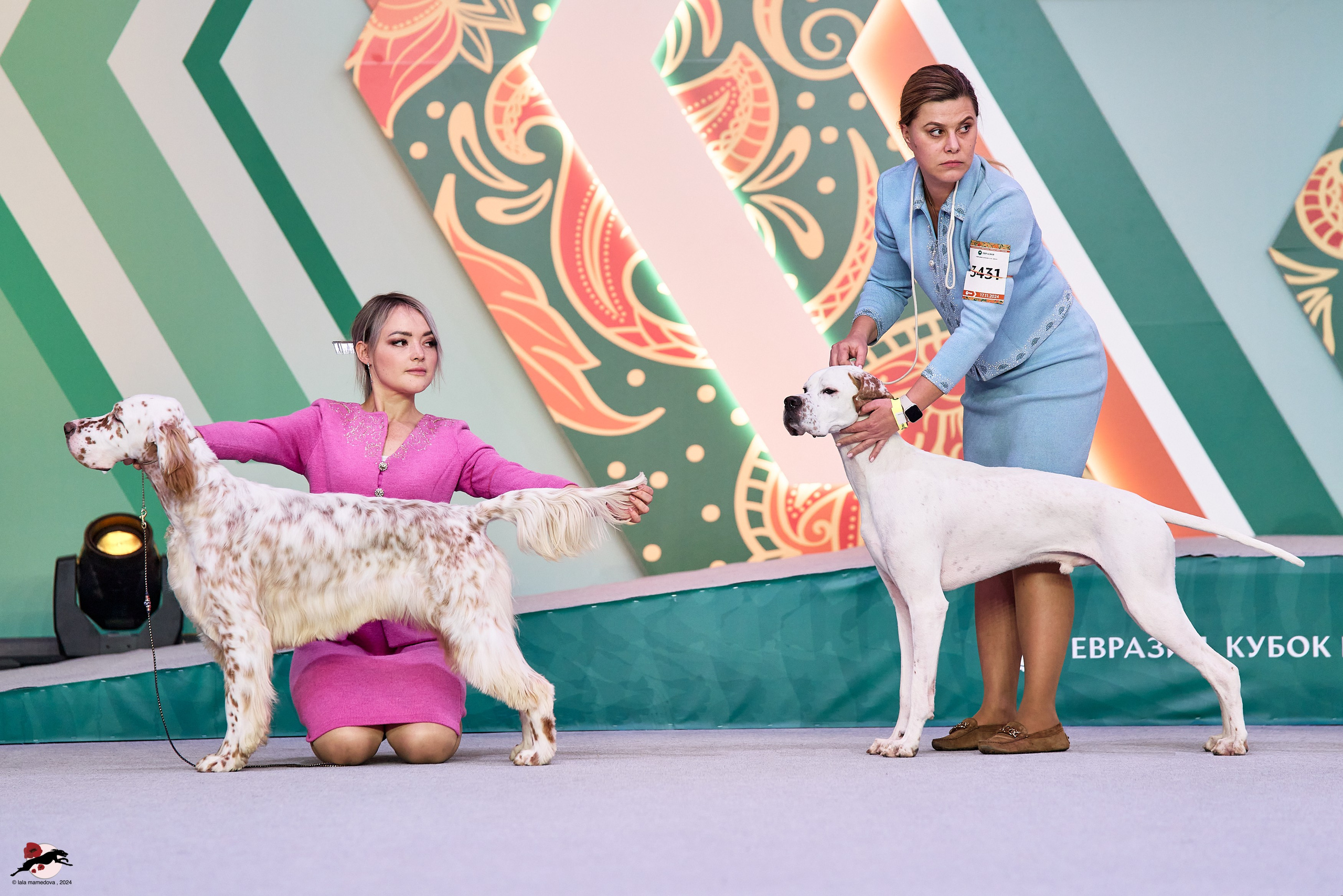 17.11.2024 «ЕВРАЗИЯ. КУБОК СНГ 2024»