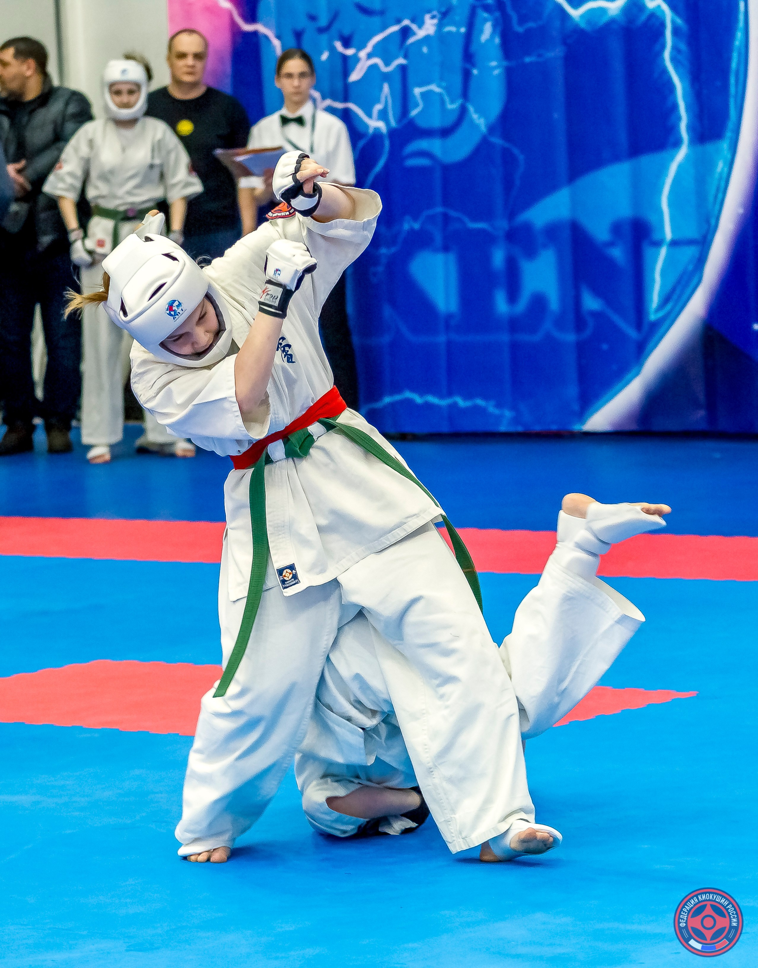 Международный турнир по киокушин «Открытый кубок Seiken». Репортажная съемка в Москве и области. Анималистика