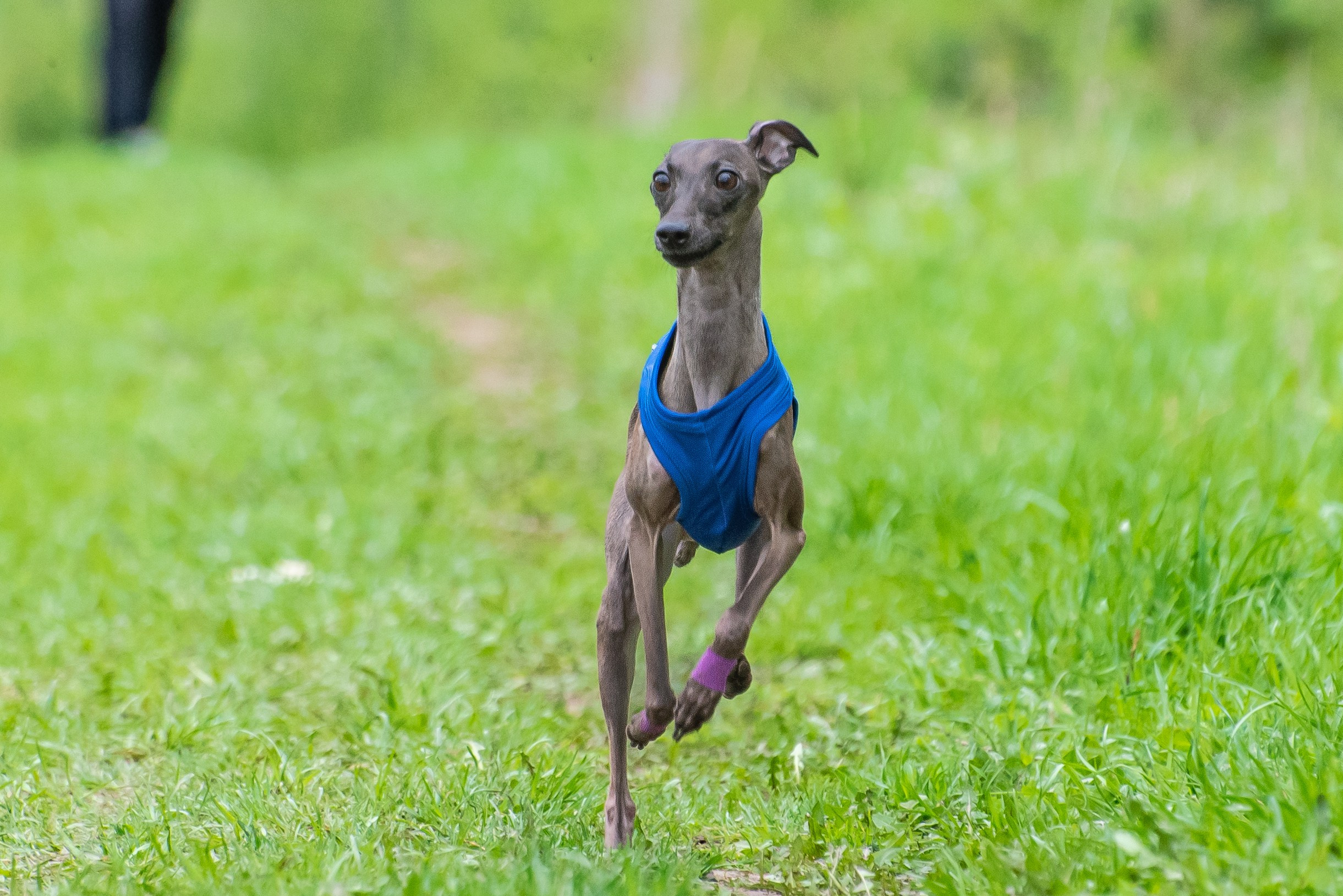 Фотографии с Курсинга. Фотограф Макс Огурцов в Нижнем Новгороде