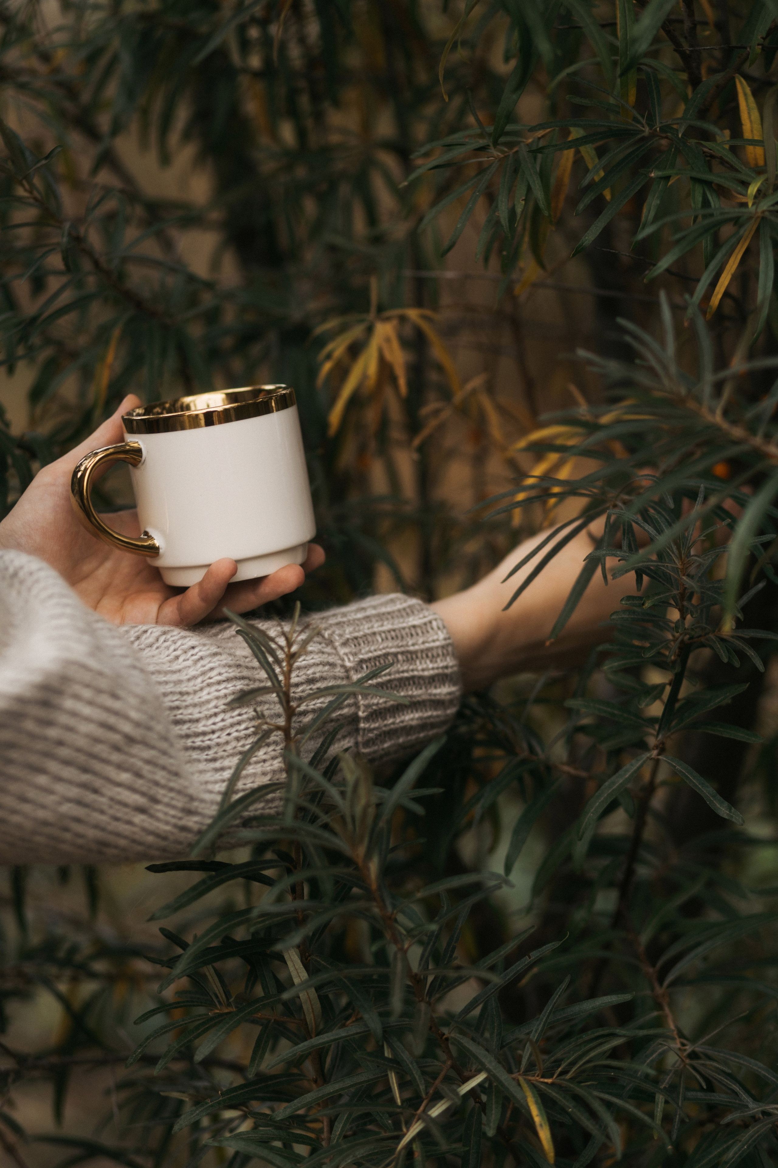 Осенний пикник. Женский и семейный фотограф в Туле Катя Вуколова
