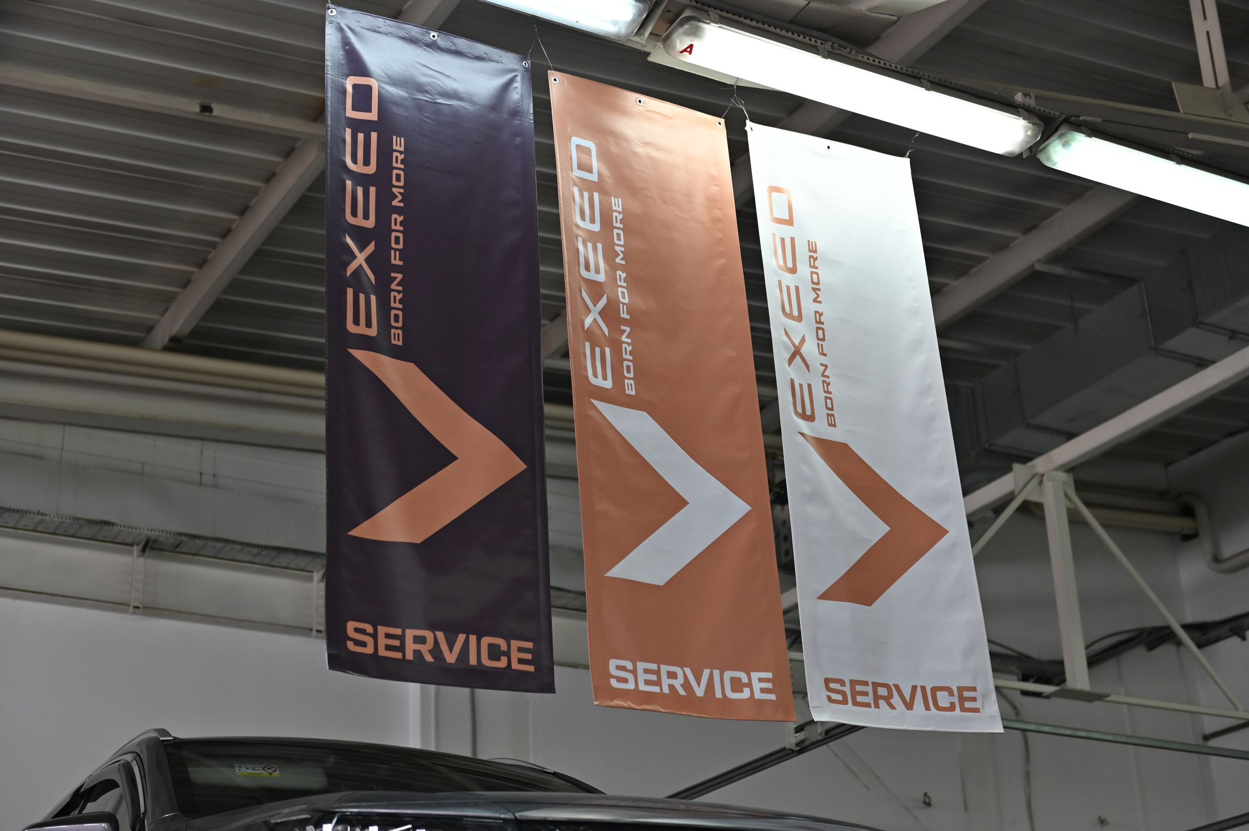 EXEED SERVICE DAY 2024. Свадебный и семейный фотограф Волгоград, Краснодар