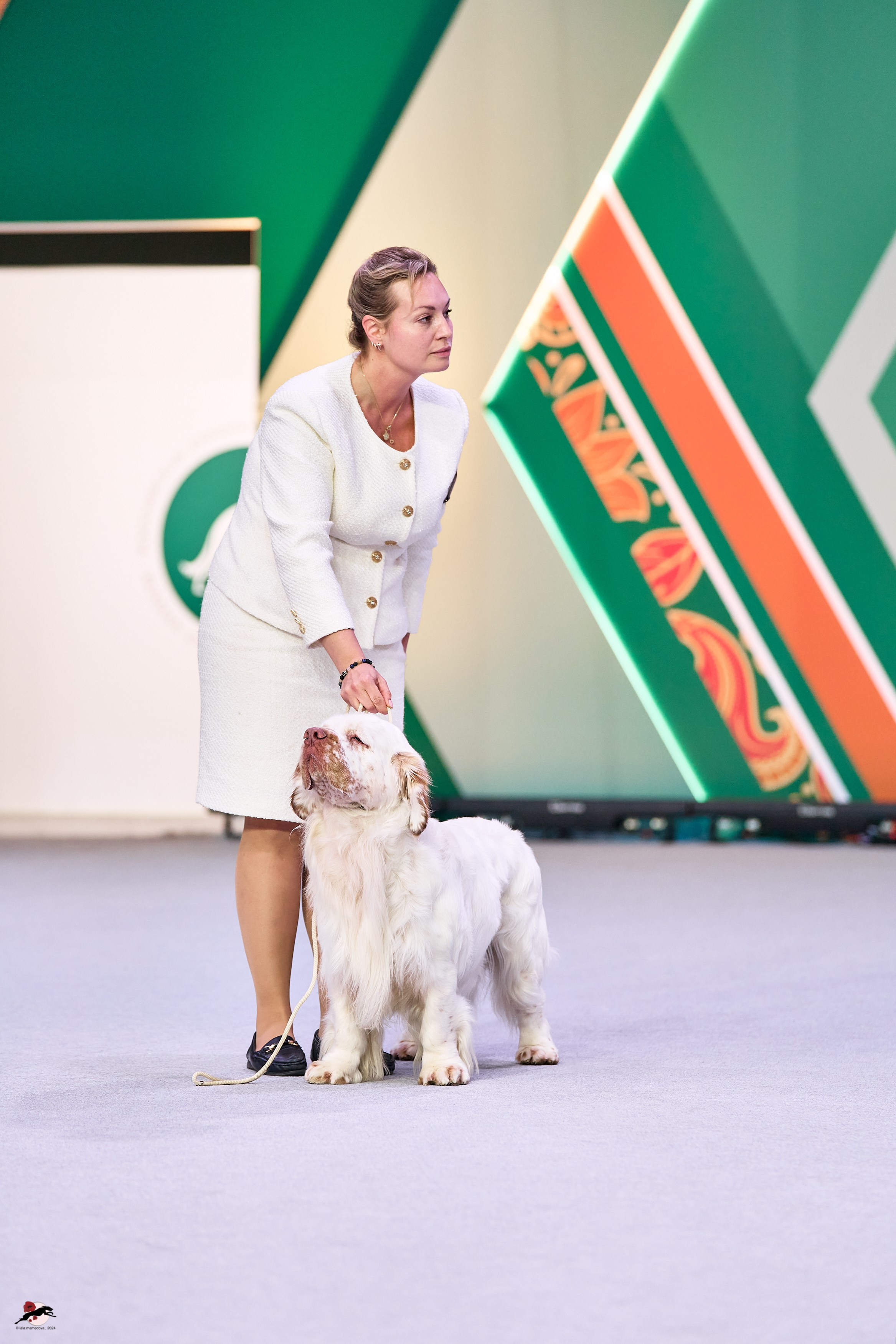 17.11.2024 «ЕВРАЗИЯ. КУБОК СНГ 2024»