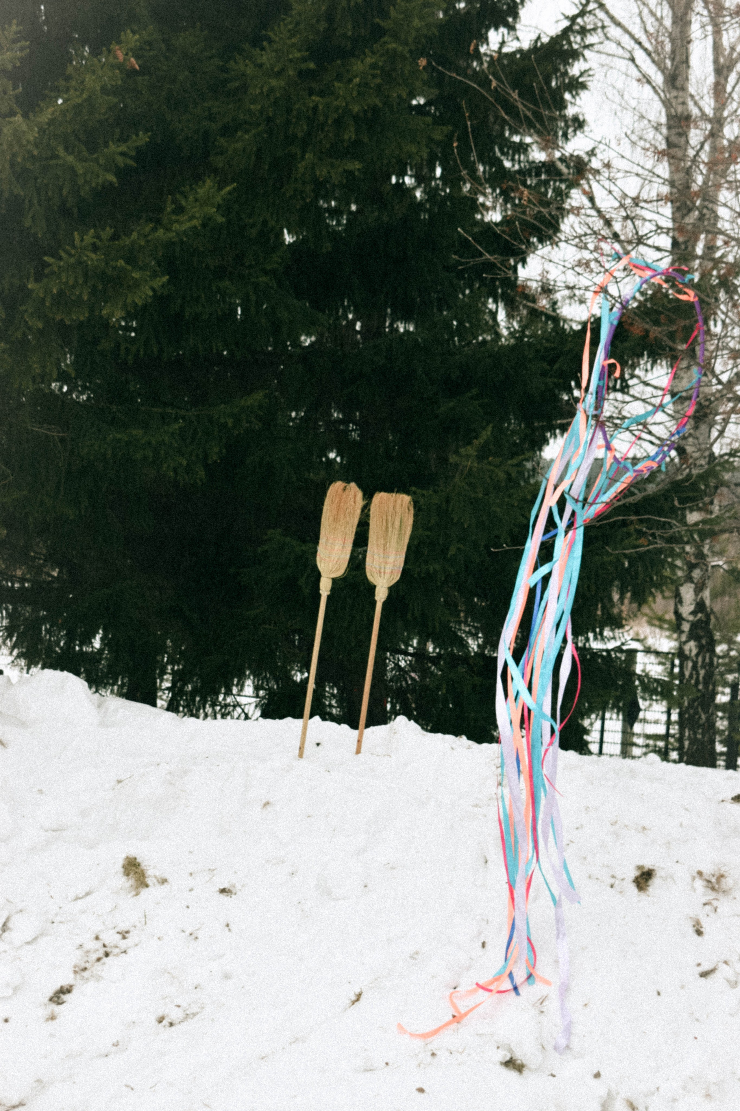 Мероприятия. Соня Мнема