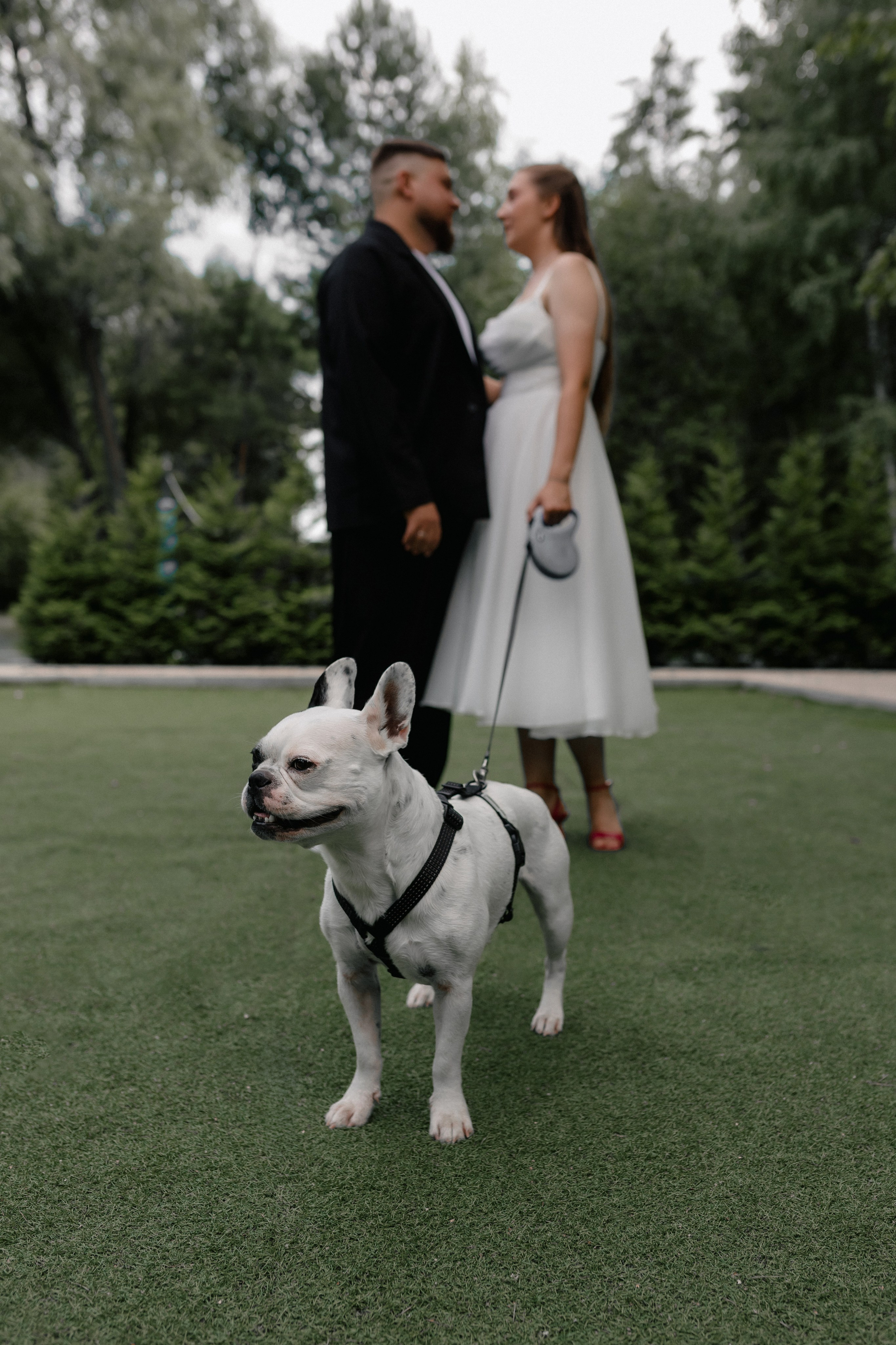 Свадьбы. Свадебный и репортажный фотограф в Барнауле Евгений Самосюк