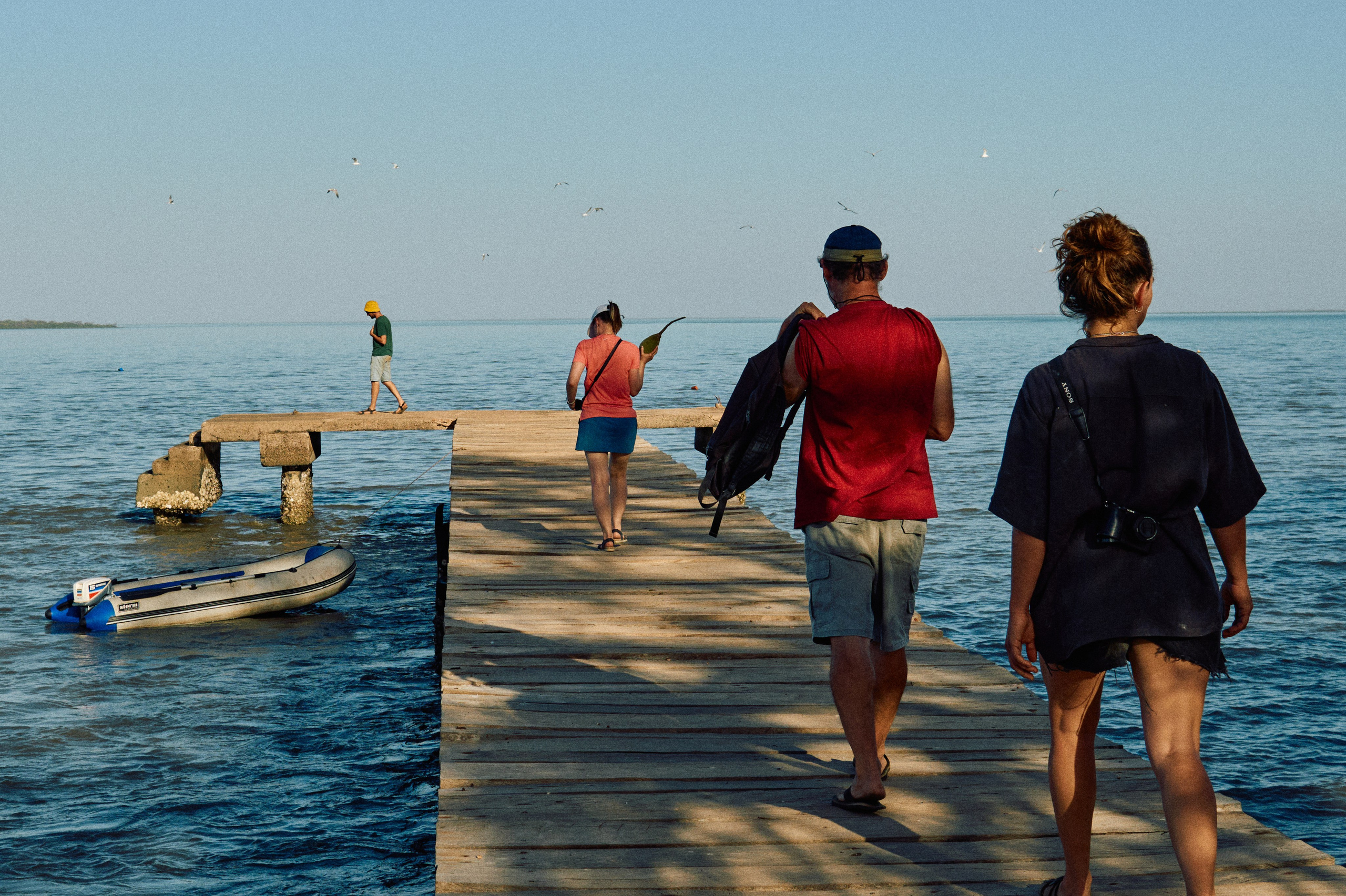 Gambia River. See the moment and catche. commercial and reportage
