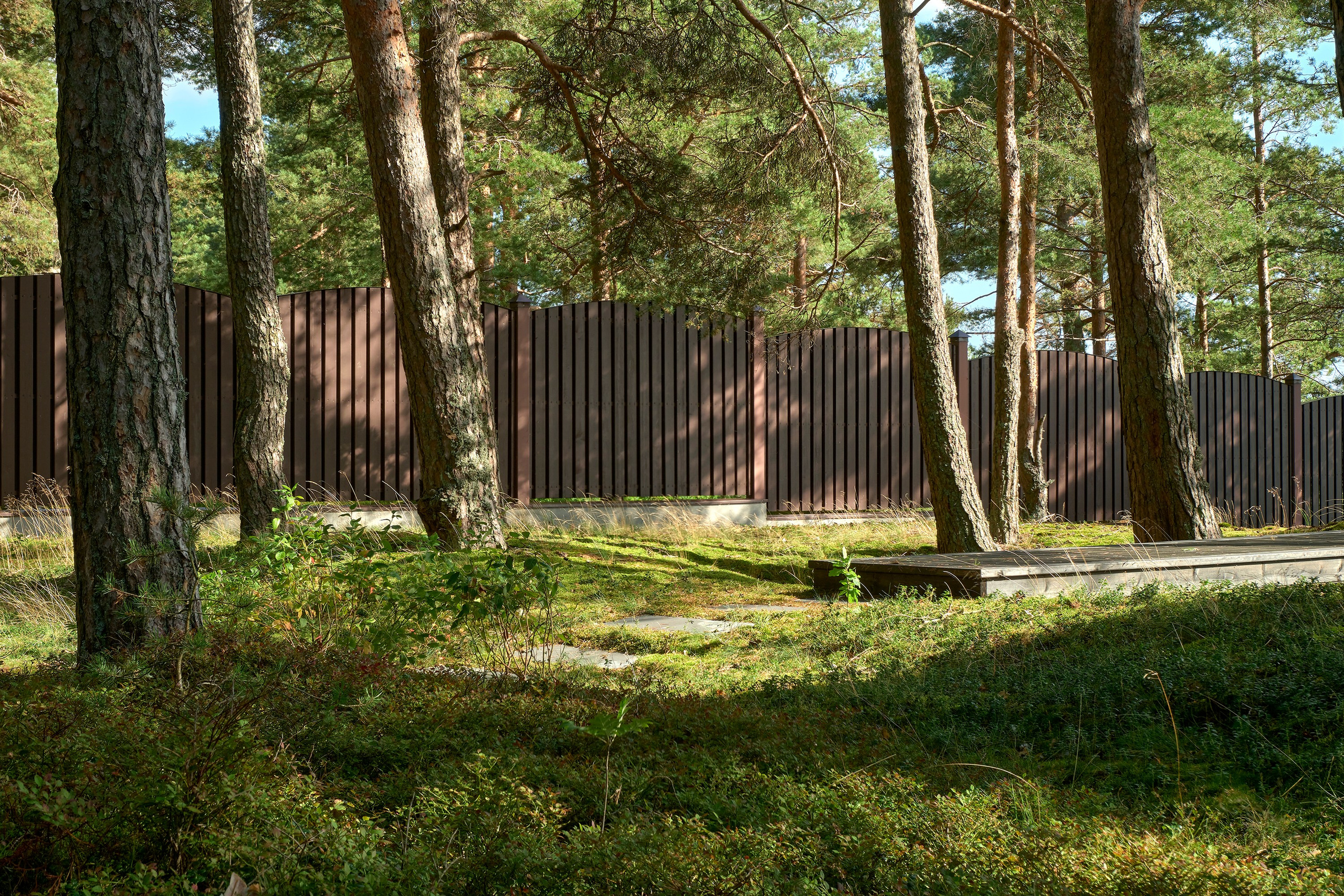 Ландшафтный и интерьерный фотограф Наталья Соловьева. Фотосъемка сада в КП Золотые пески для ландшафтной компании Хвоя | interioto