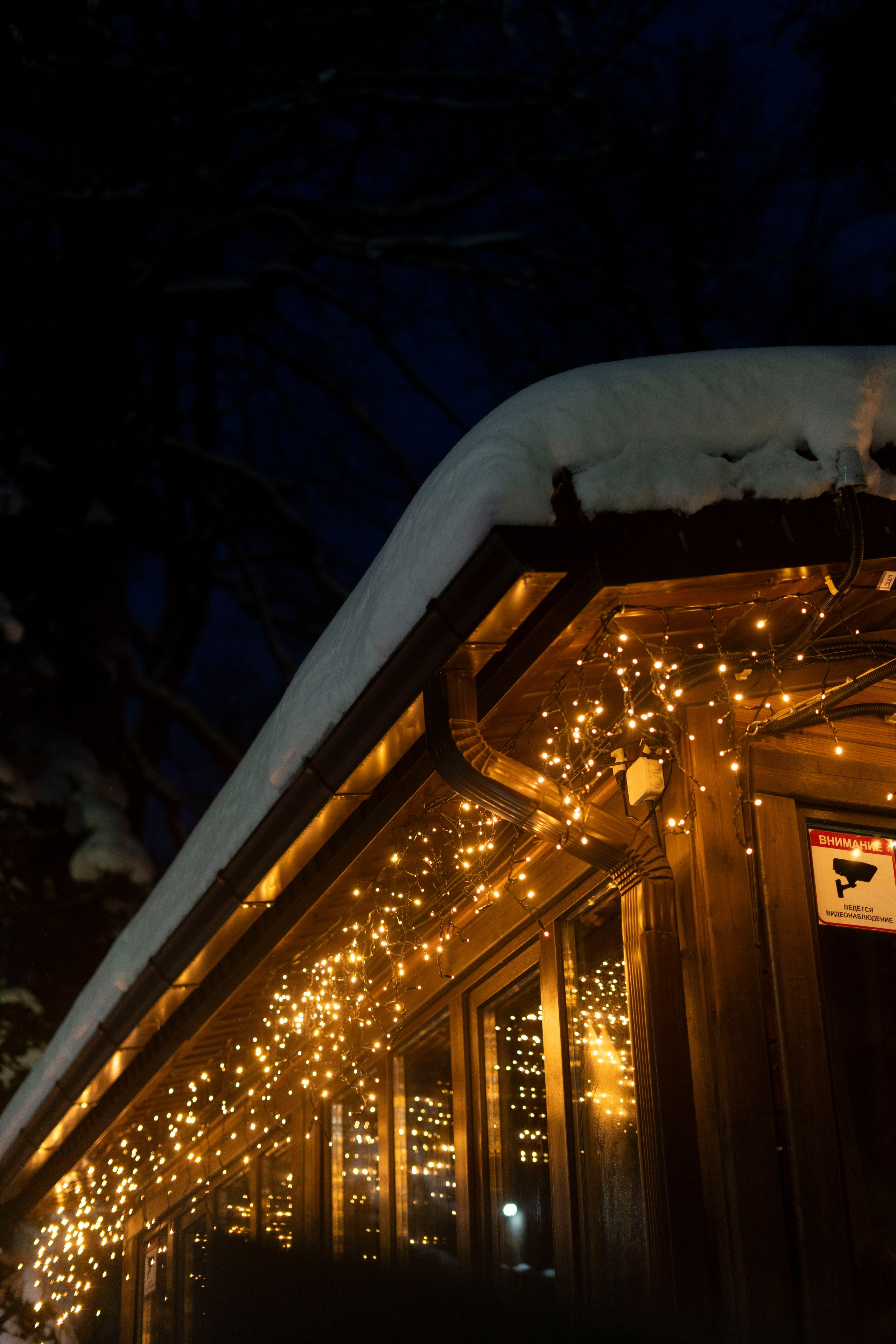 Домбай. Фотограф Александра Волкова | Волгоград