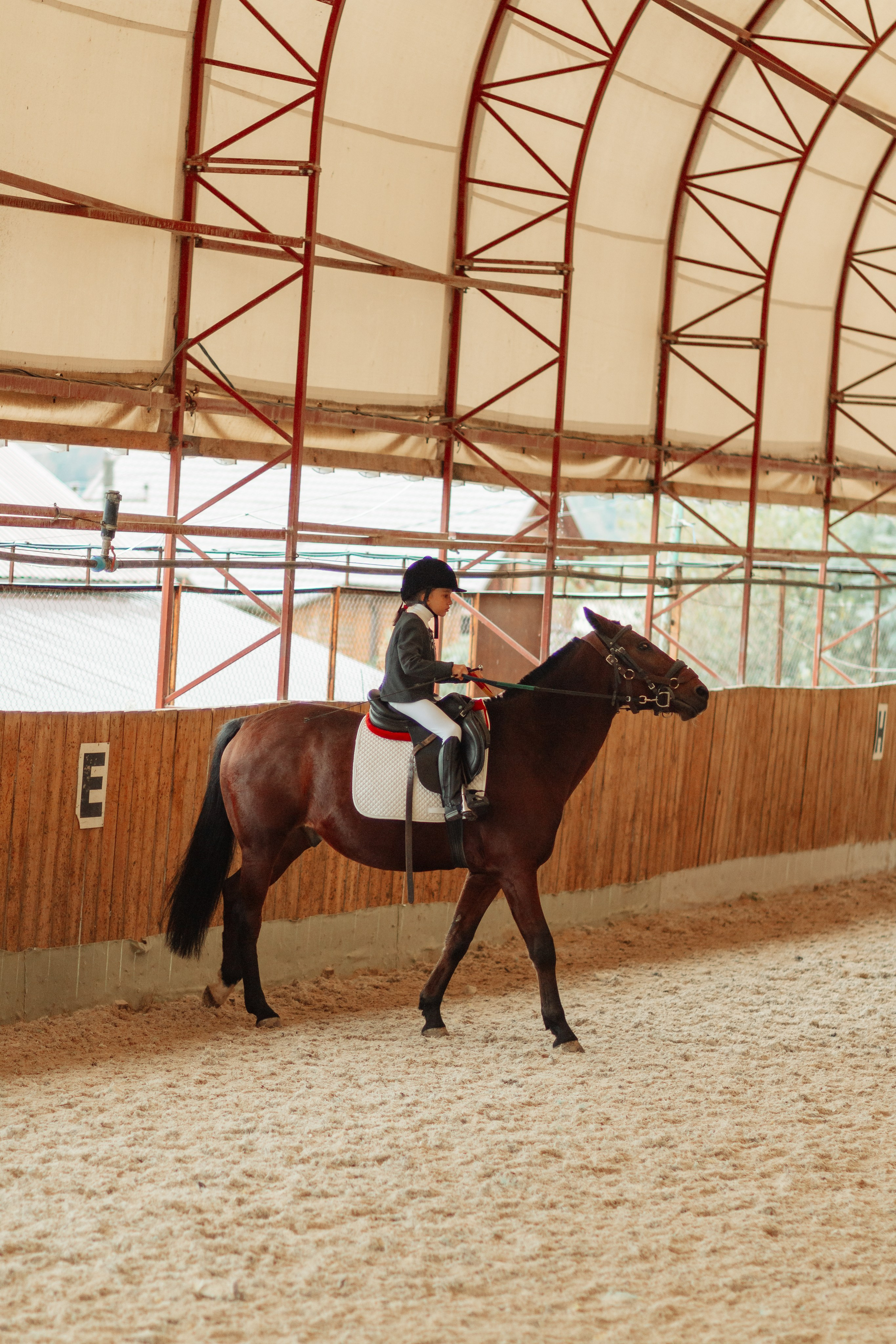 Маргуша сочи конный спорт