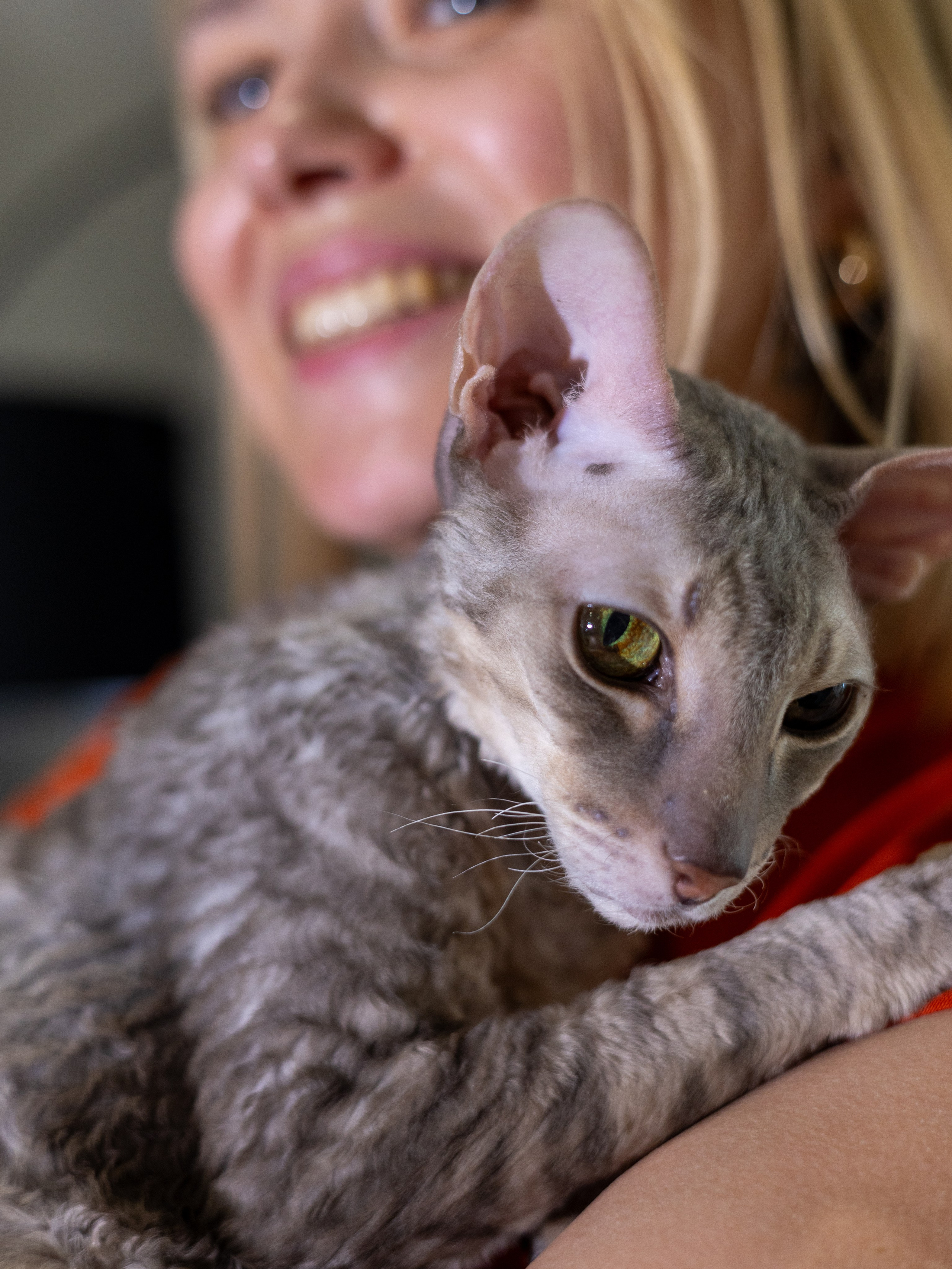 День рождение Зенита. Фотограф-анималист в Москве Кириллова Татьяна