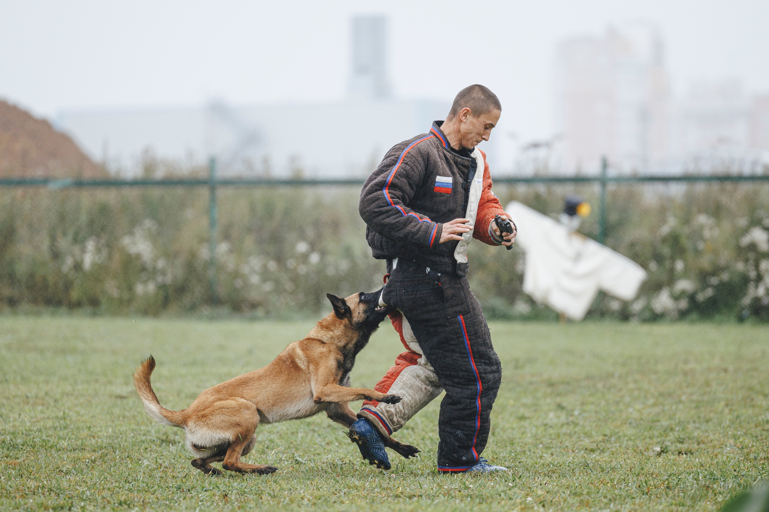 08.08.25-10.08.25 ЧР по мондьорингу г. Вологда. Фотограф-анималист Анна Маринич