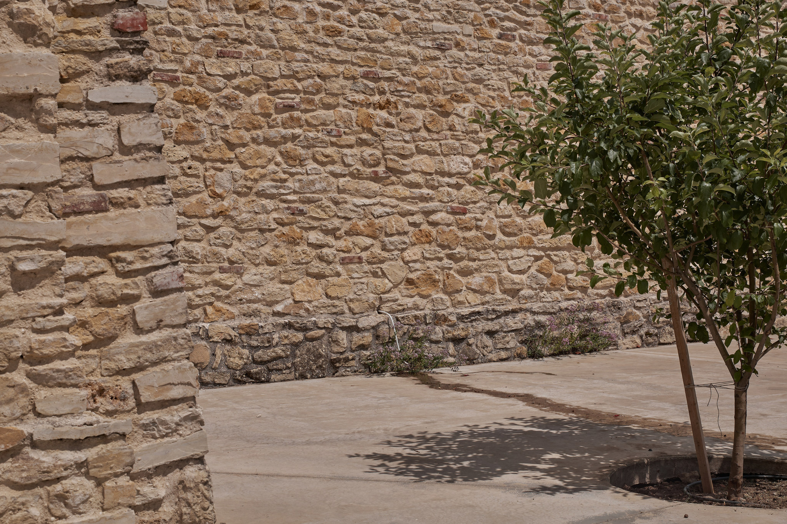 ОДНА ВИНОДЕЛЬНЯ. Репортажный и мужской фотограф в Краснодаре. Фотограф в Краснодаре