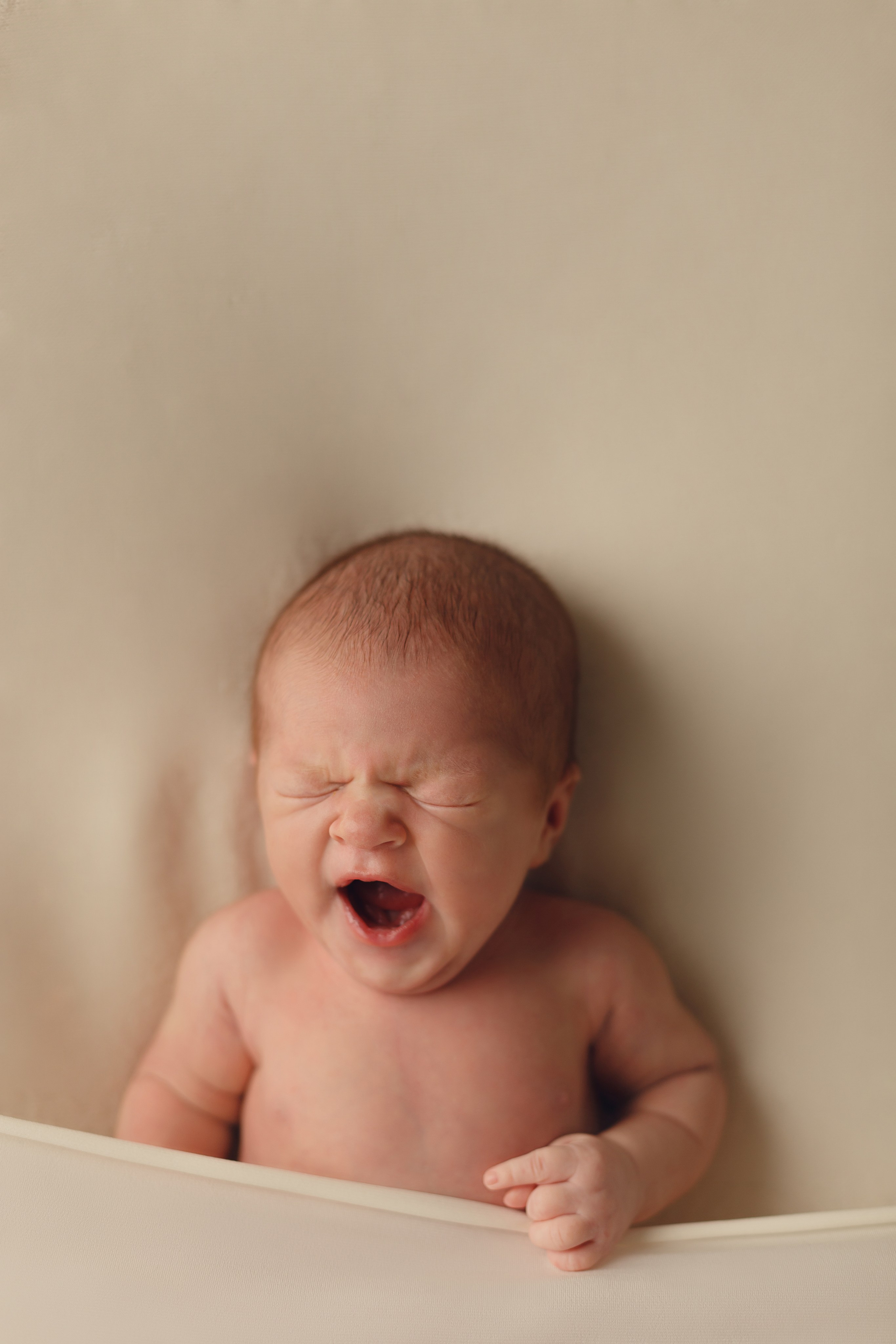 Новорожденные. Света. Профессиональная детская и семейная фотостудия в Краснодаре