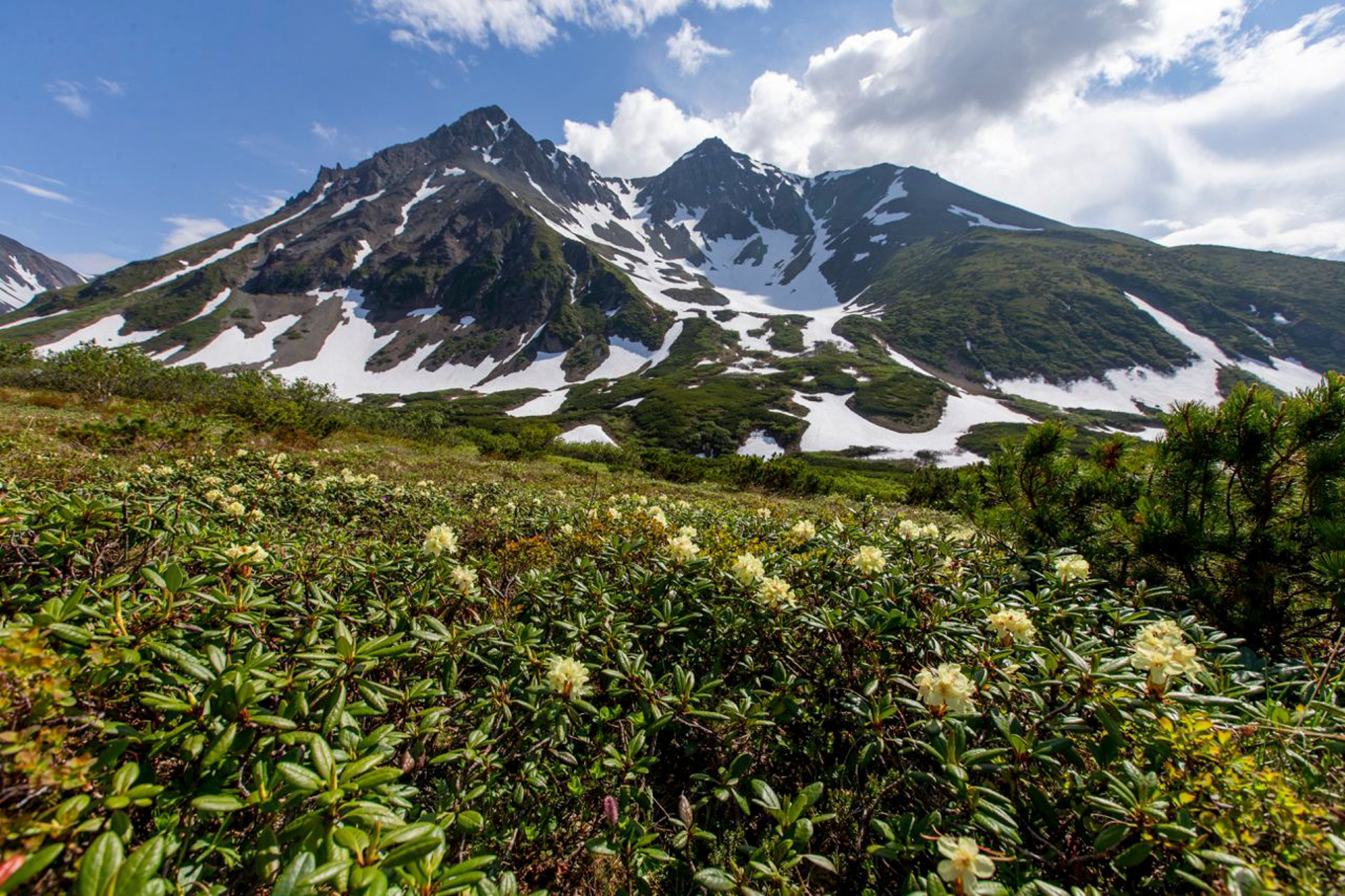 Научно-популярная Камчатка. Время Камчатки: чтобы найти свой путь, нужно скорость умножить на время