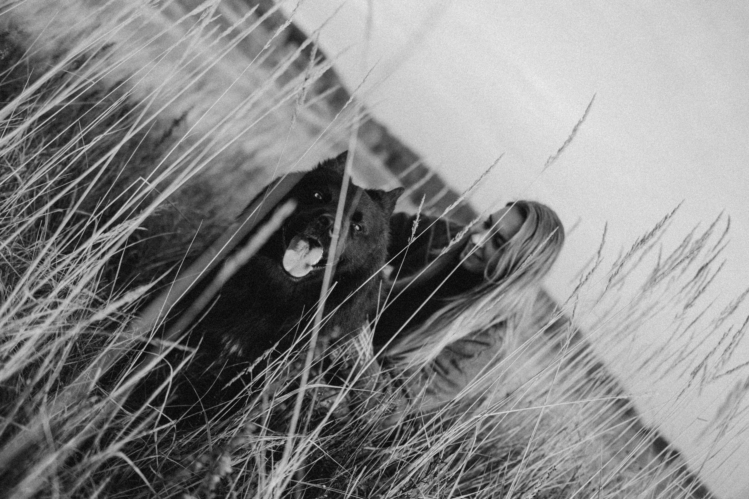 Лора и Джанго. Фотограф — Анималист | Санкт-Петербург