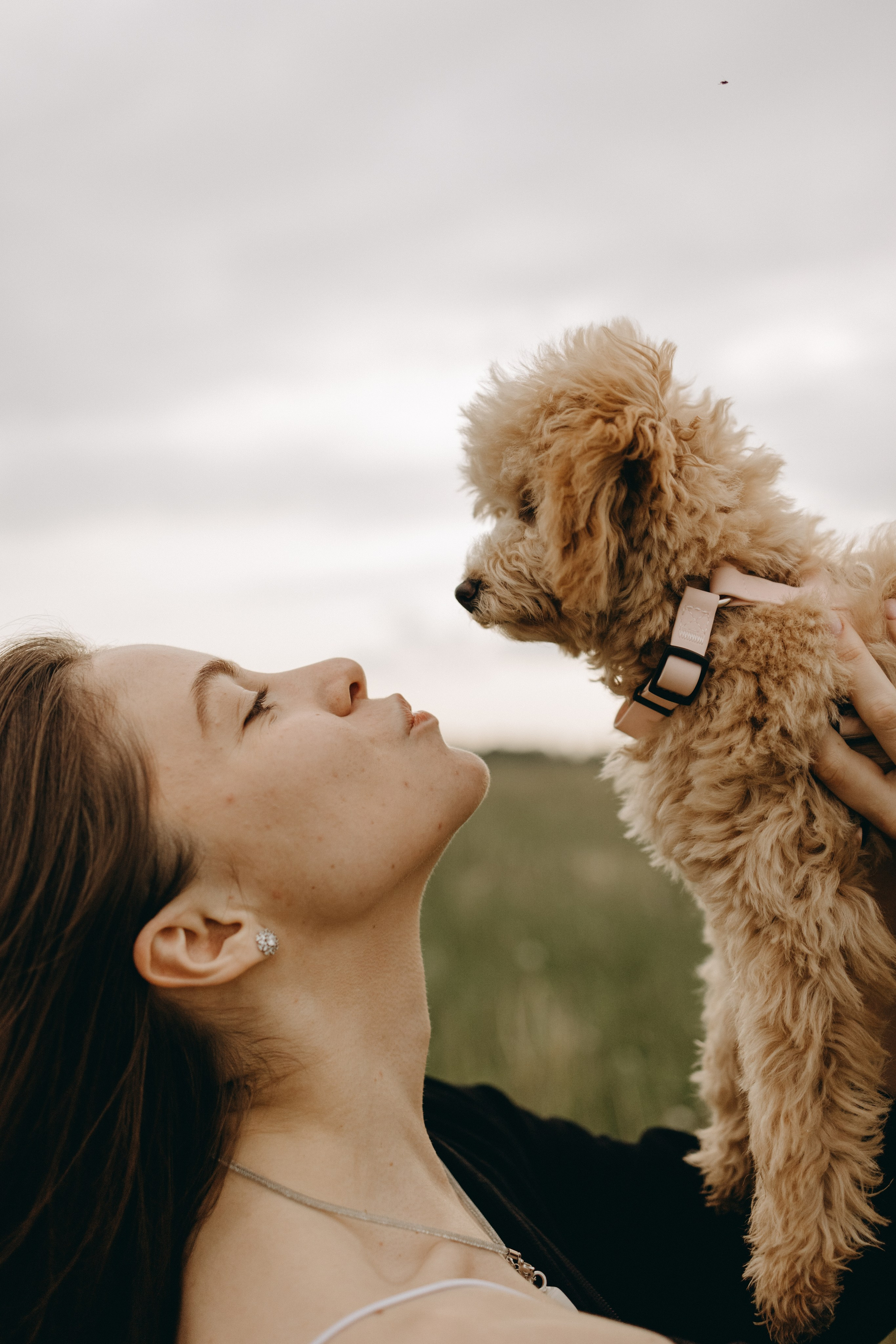 Мия и ее семья. Фотограф — Анималист | Санкт-Петербург
