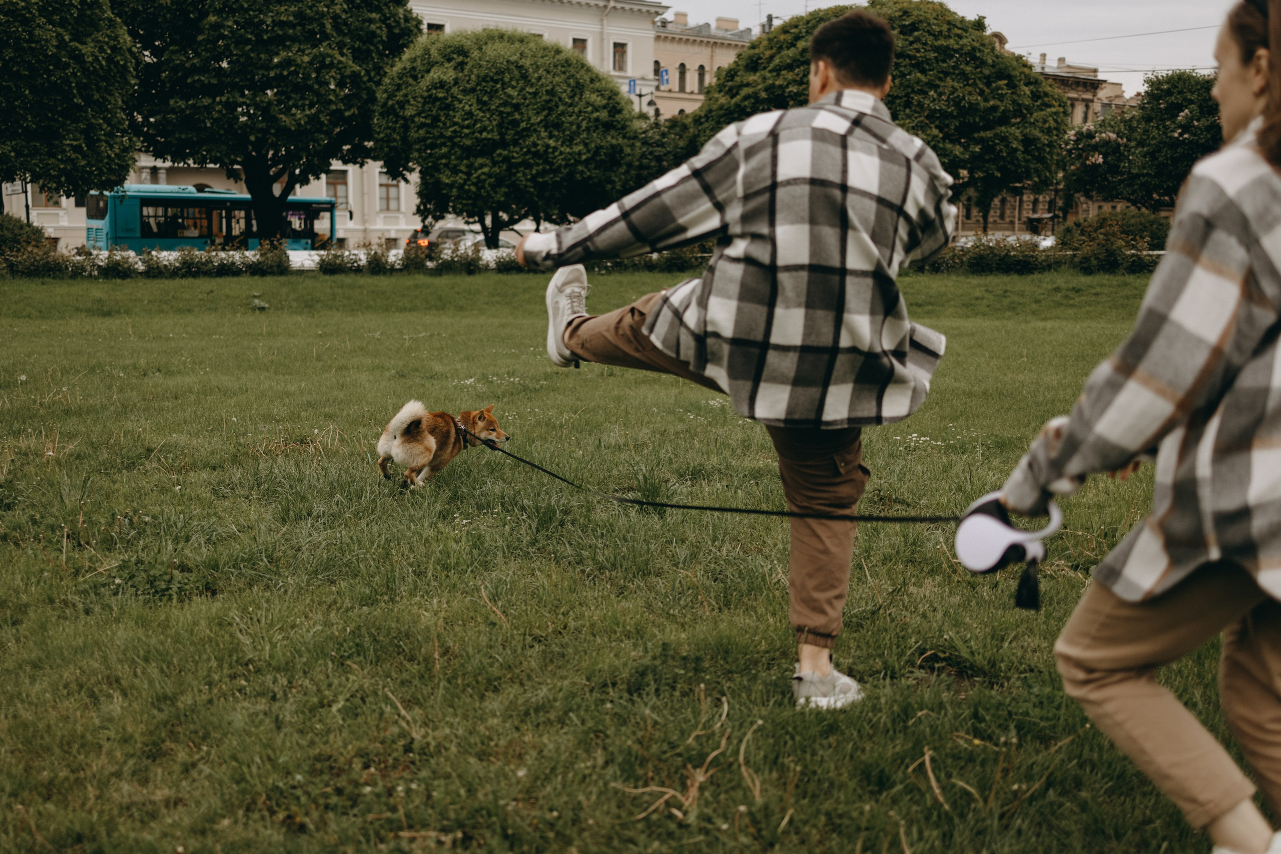 Сириус и его семья. Фотограф — Анималист | Санкт-Петербург
