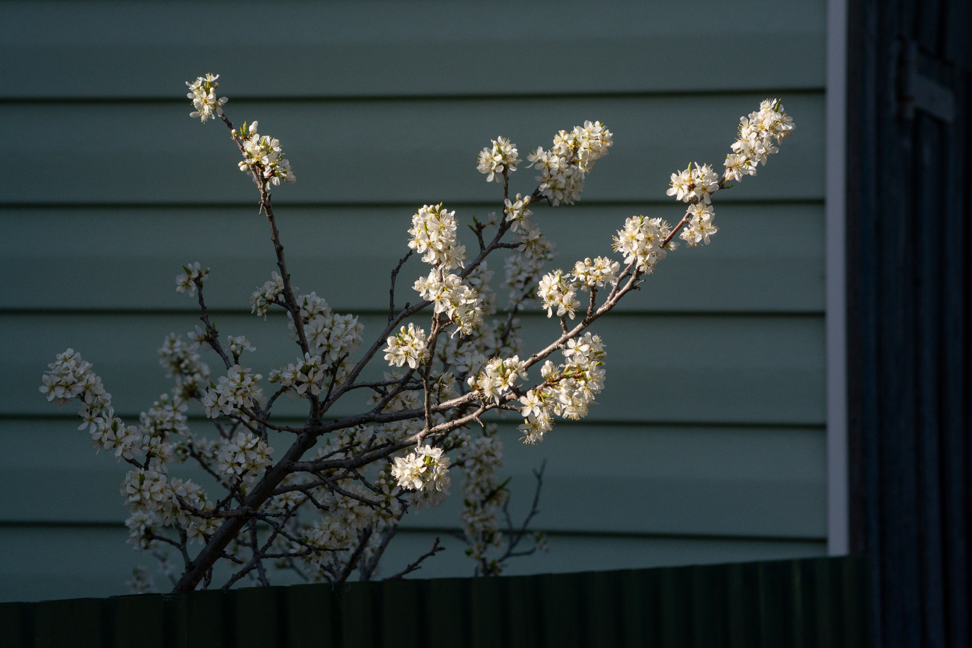 Разное. Репортажный фотограф г. Чита