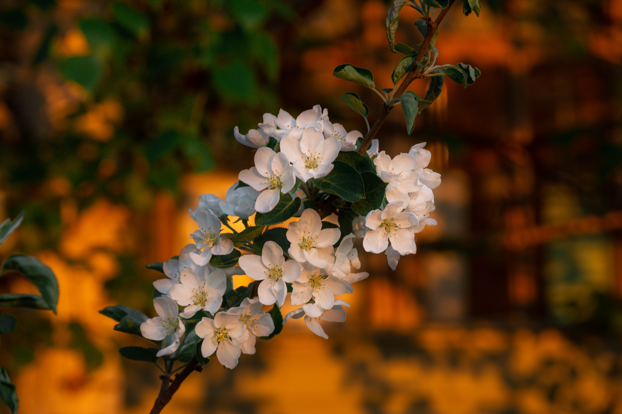 Разное. Репортажный фотограф г. Чита