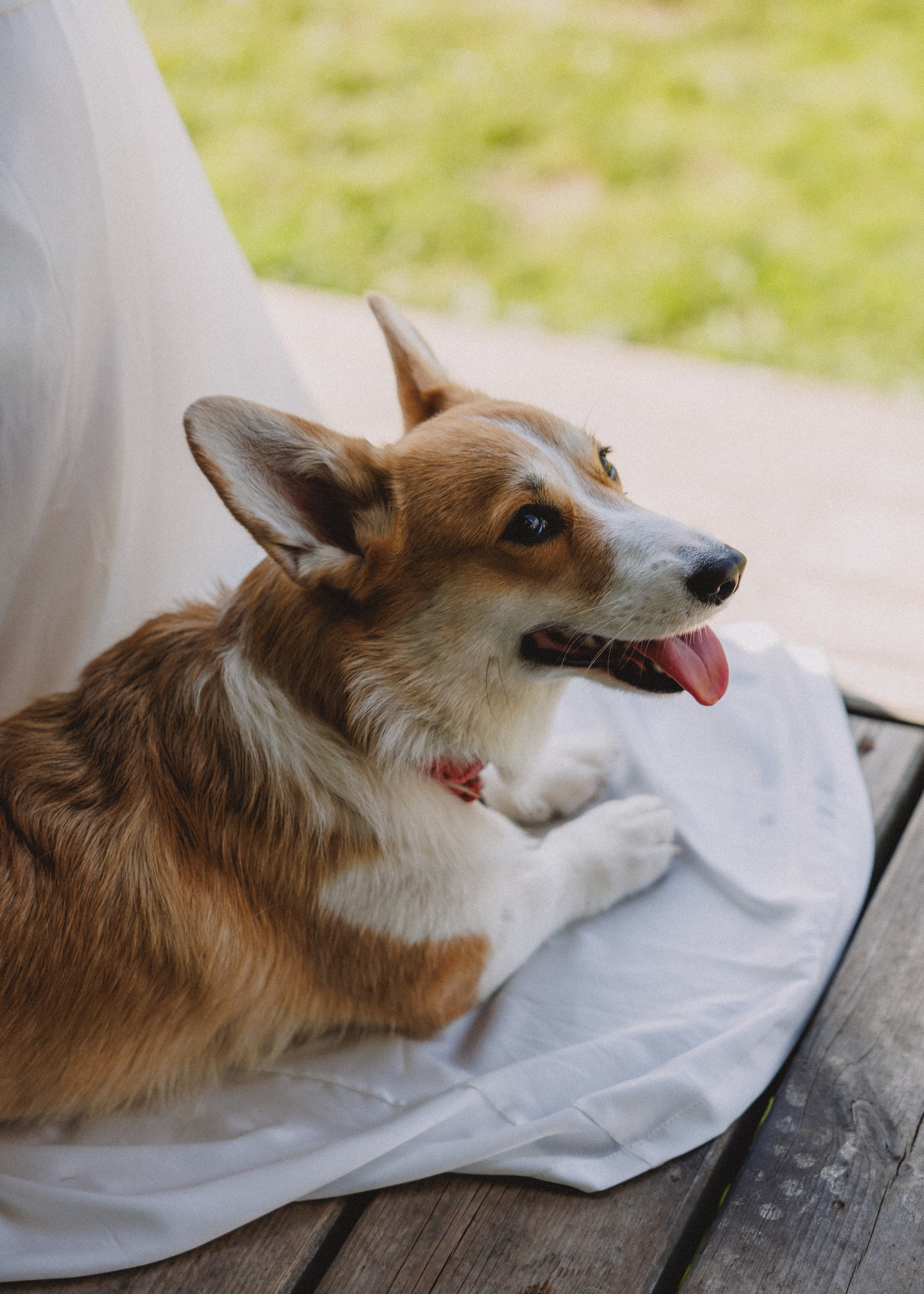 RUSSTYLE. Свадебный фотограф Владислав Адышкин