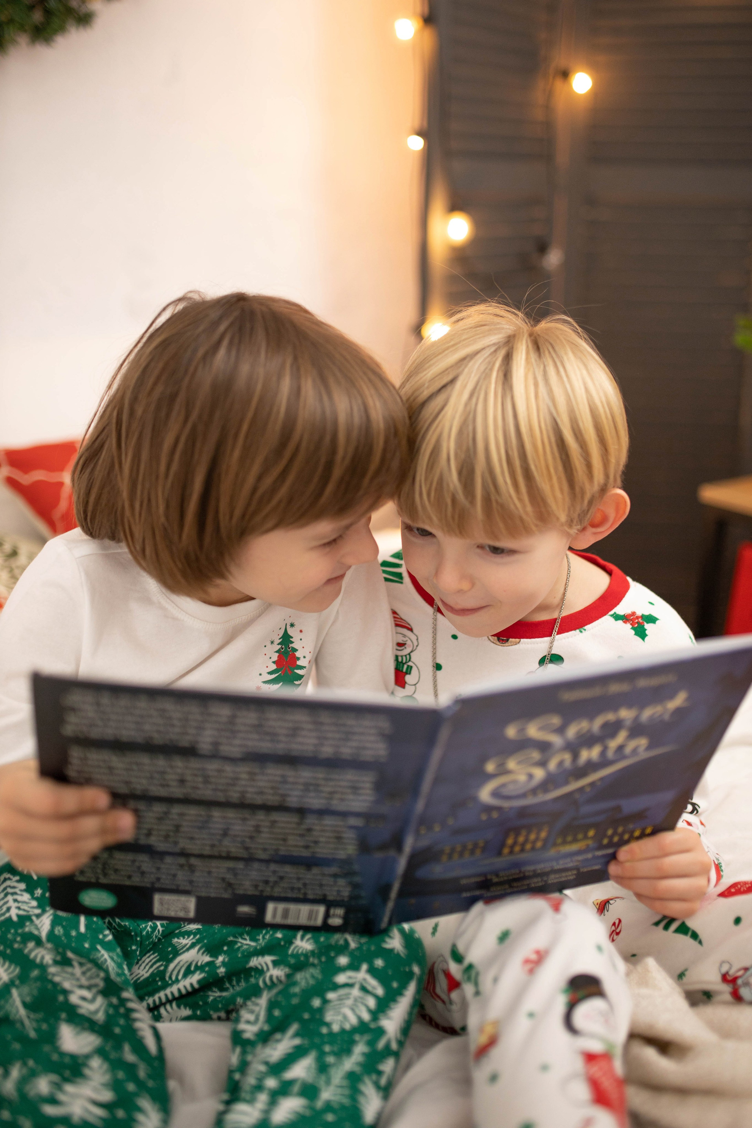 Никита и Федор (новогоднее). Фотограф