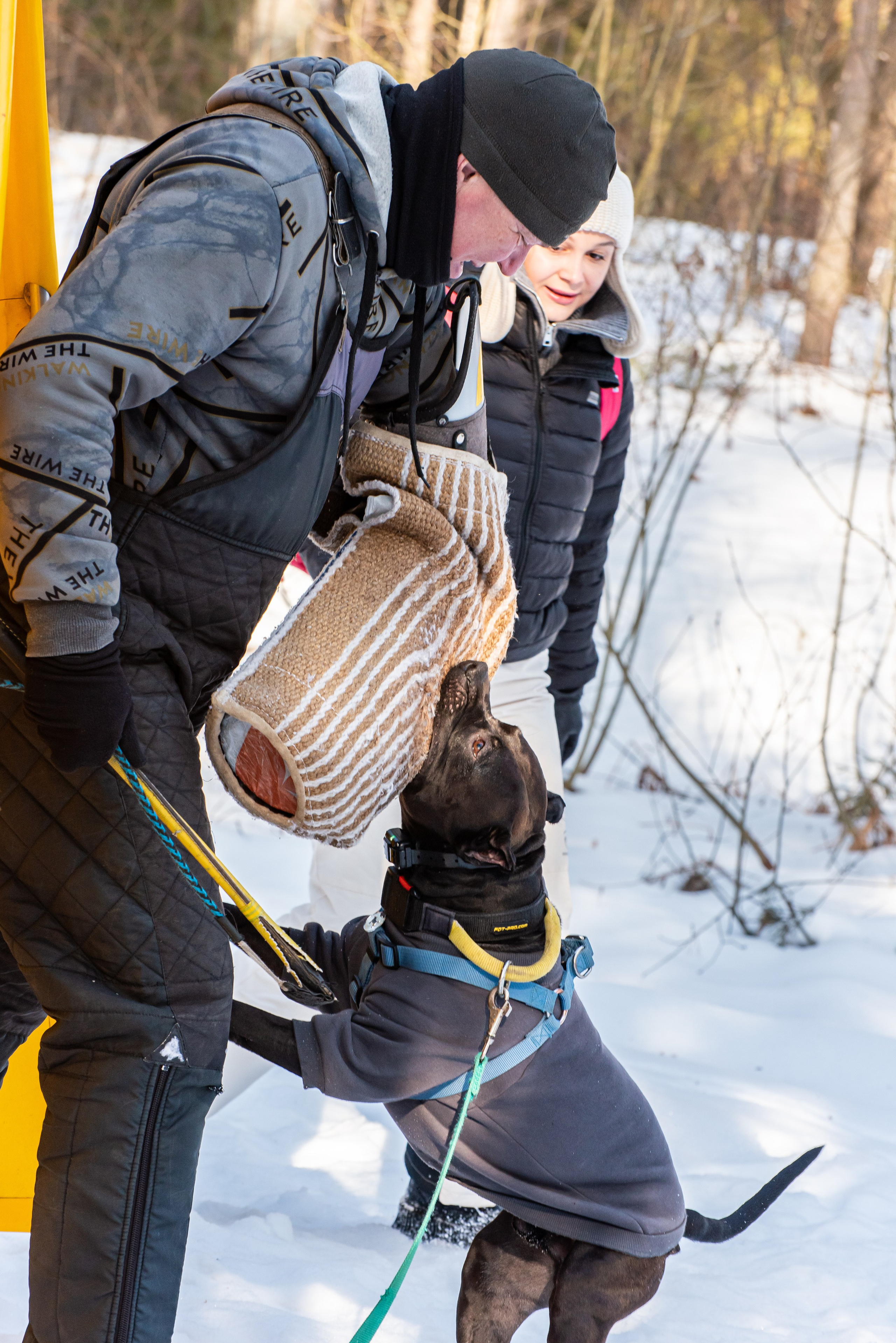 Фотосъёмка с собаками в Кинологическом лагере. Фотограф Макс Огурцов в Нижнем Новгороде