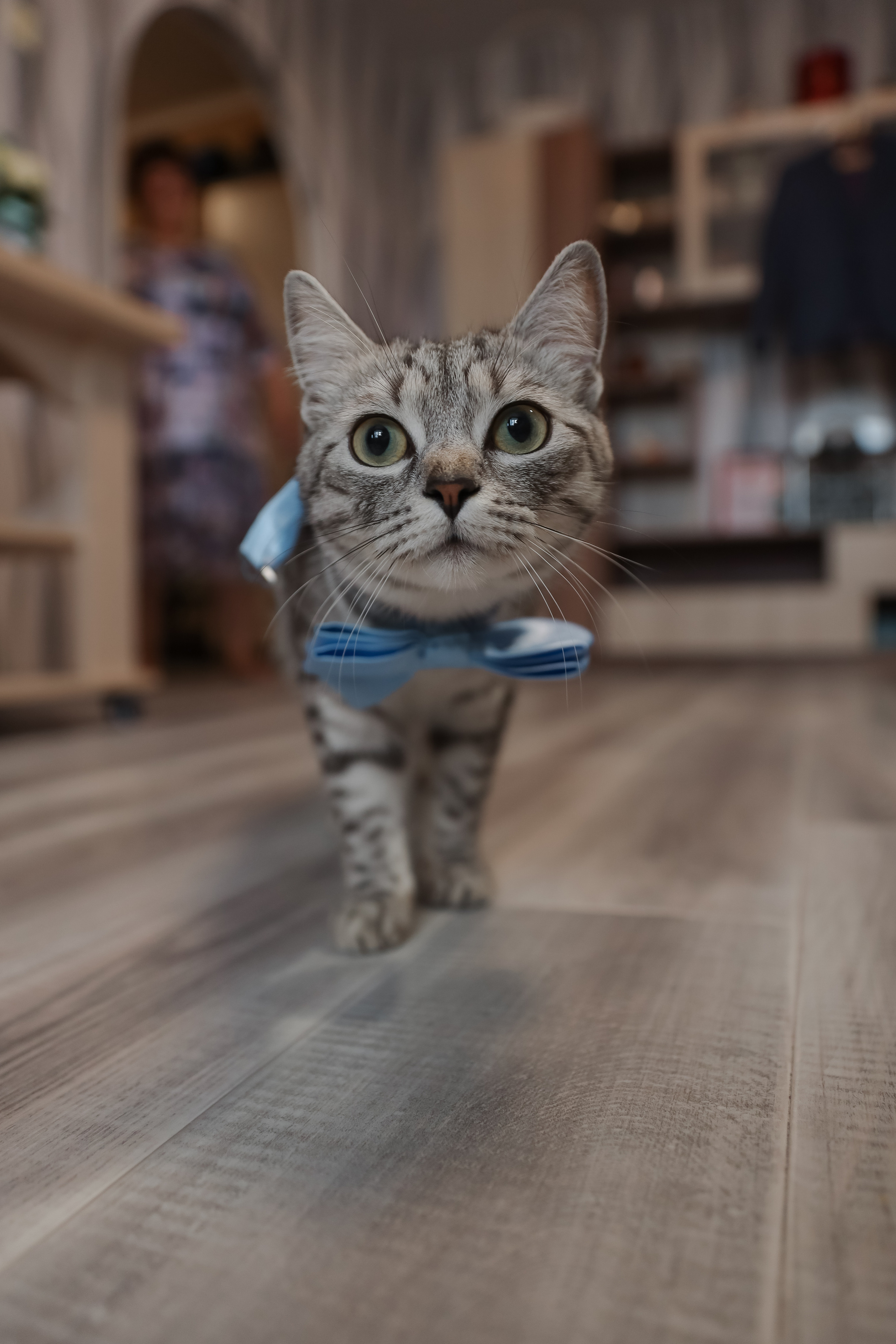 Семён и Алина. Свадебный и семейный фотограф Белово Анастасия Пьянкова