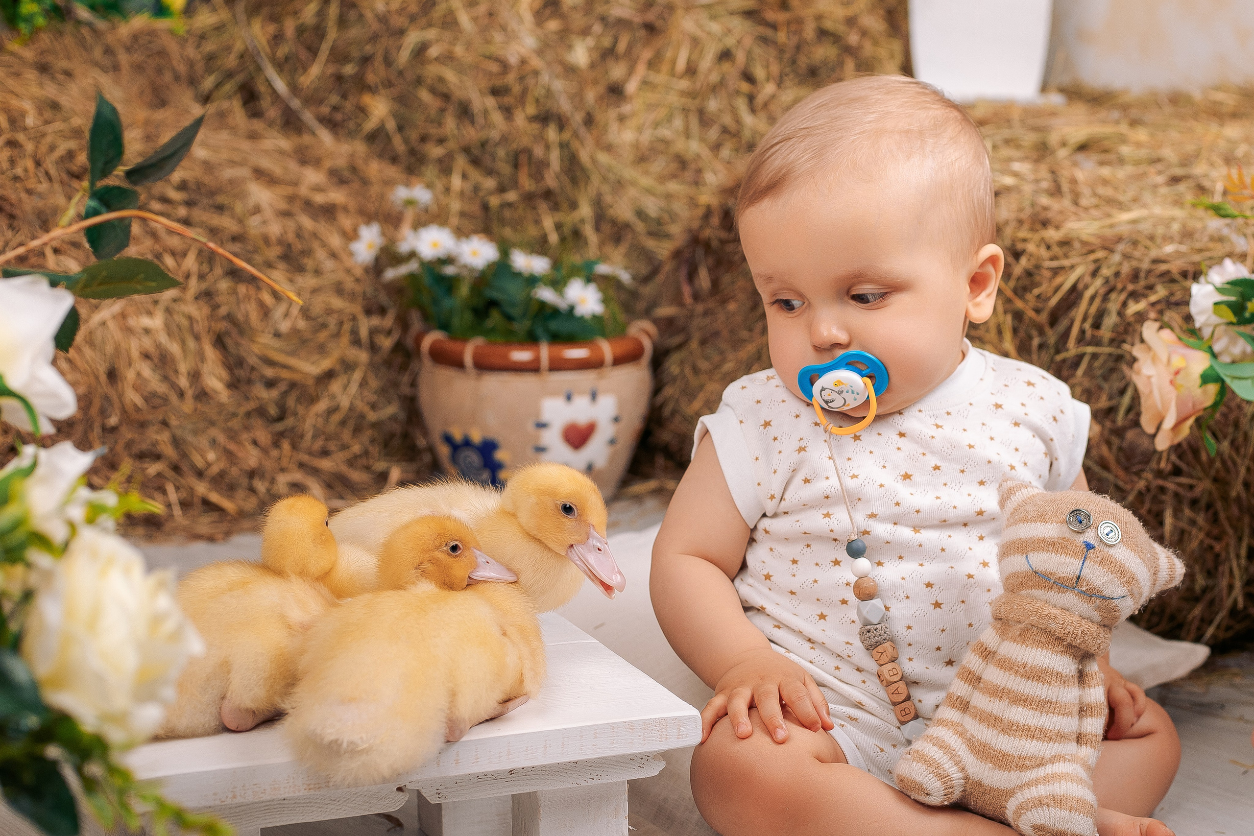 Пасхальный фотодень спб фотосессия с цыплятами и утятами. Фотограф в Санкт-Петербурге, Анна Скворцова