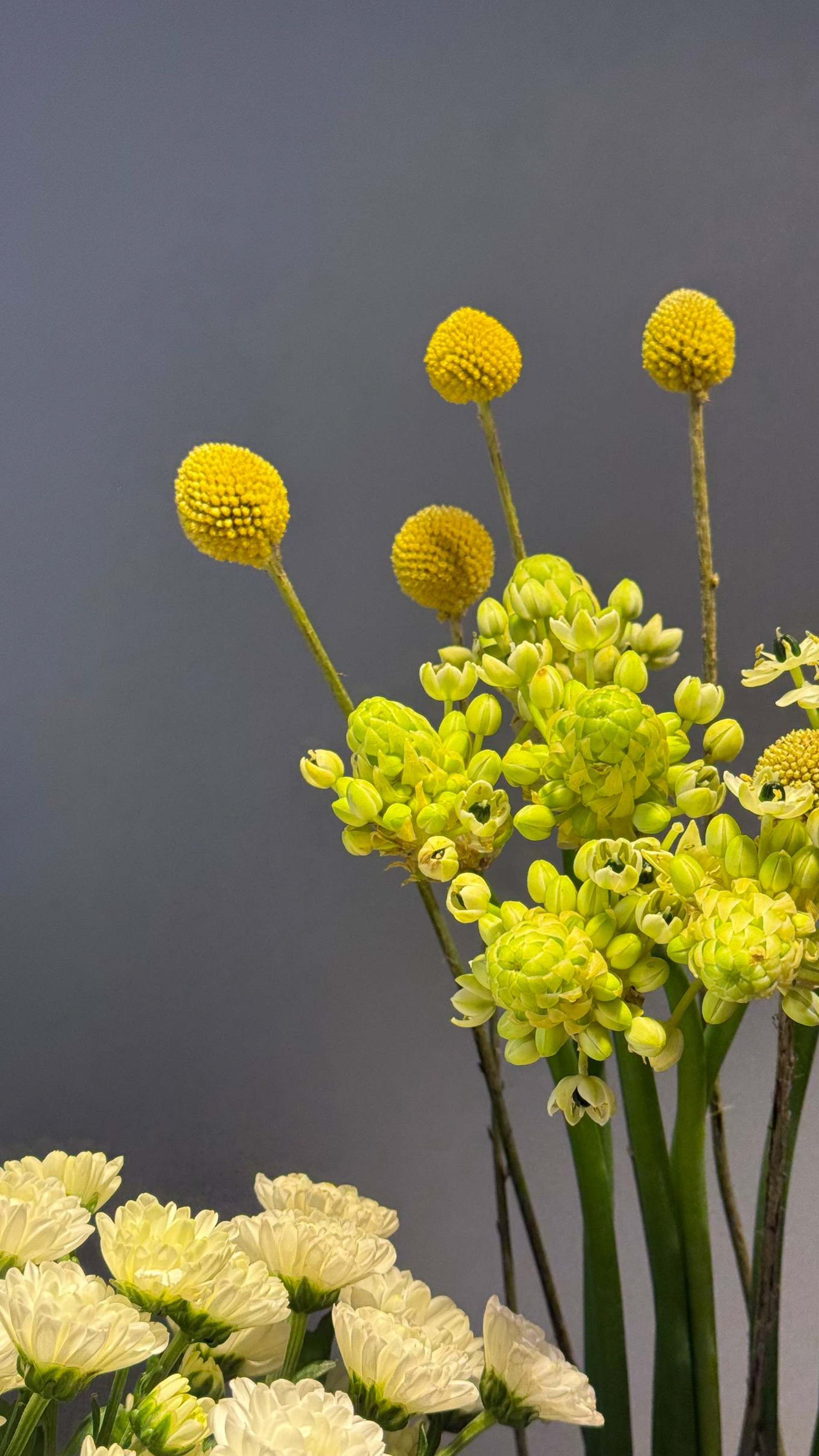 Контент для Цветочной лавки. Фотограф в Екатеринбурге Яна Круташова