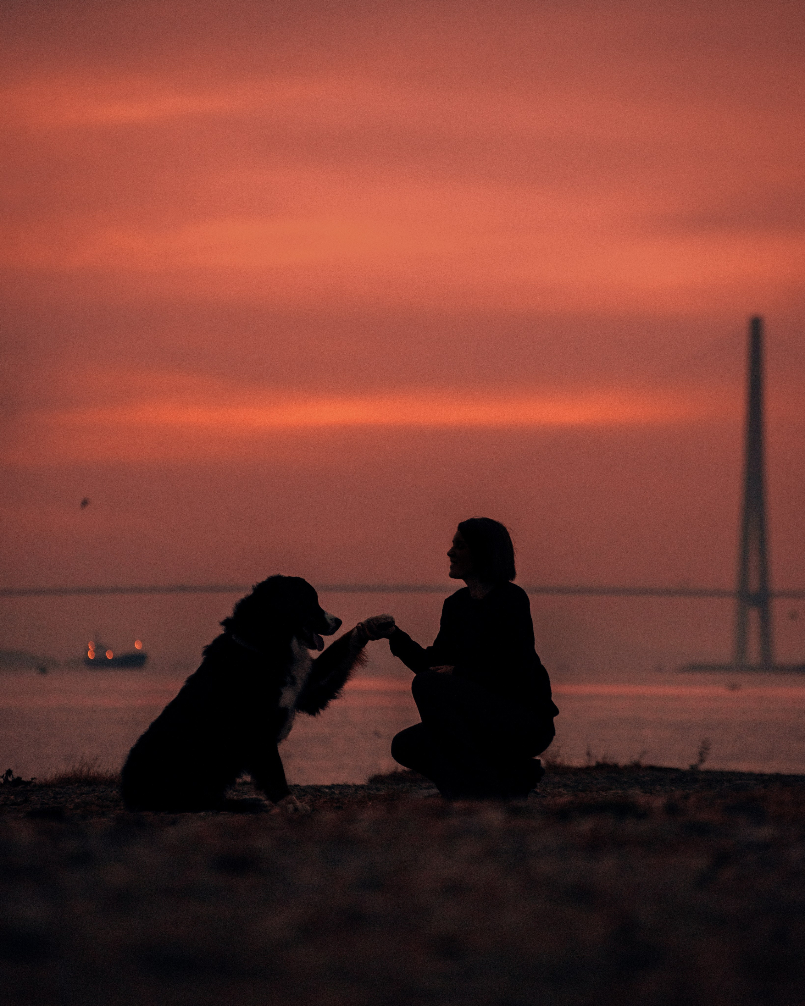 Владивосток: Марс и Маша. Портфолио